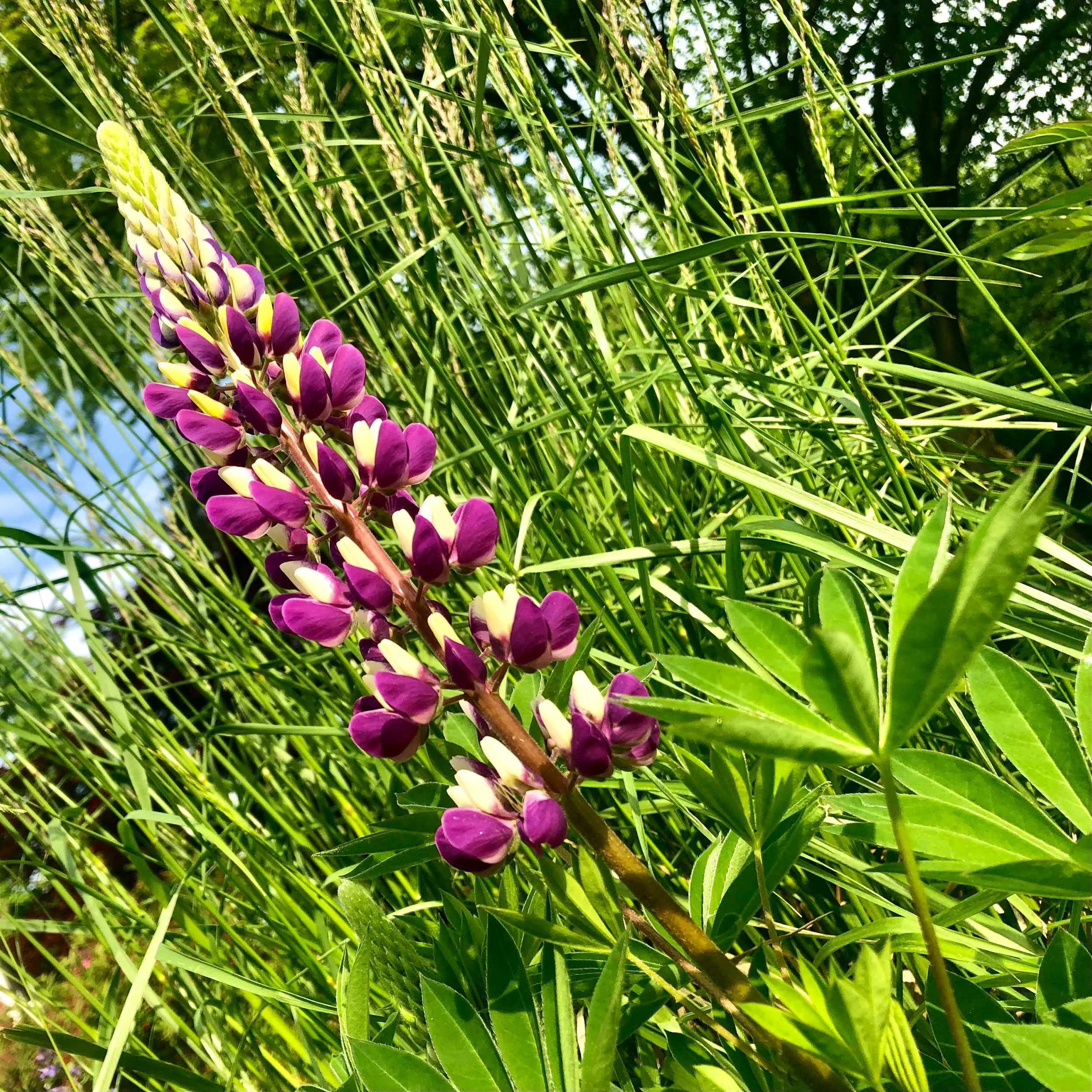 Monday, May 13, 2024