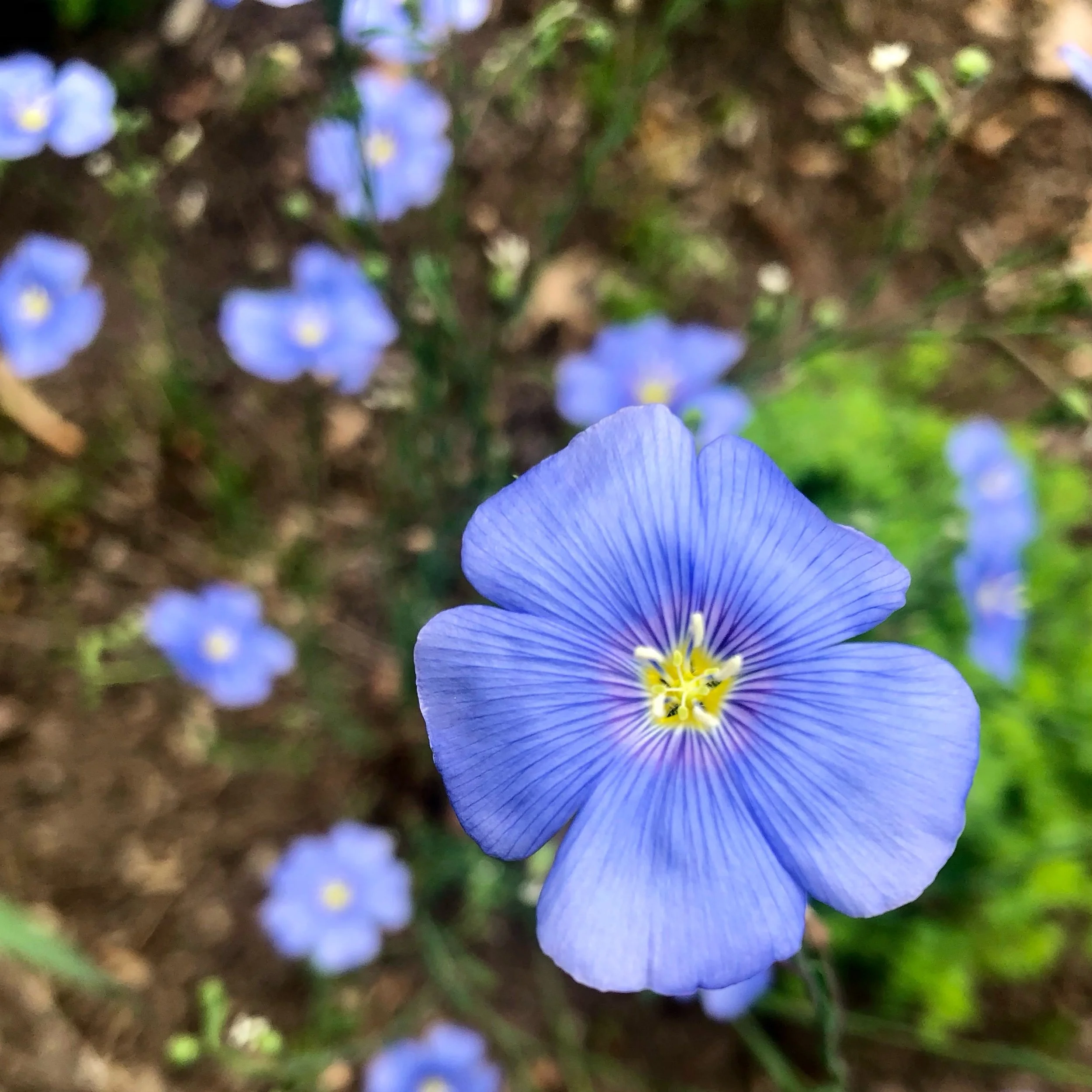 Monday, May 20, 2024