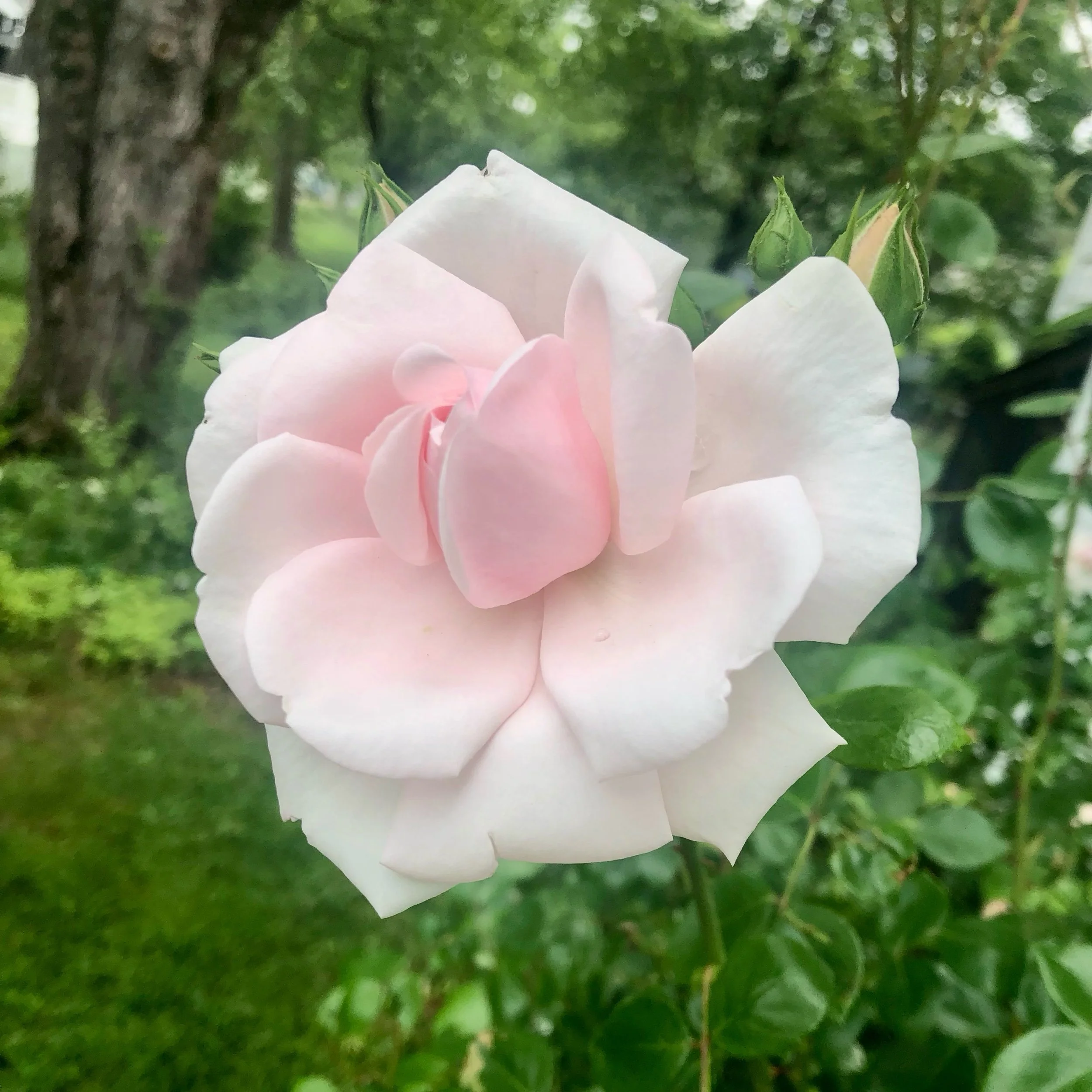 Monday, May 27, 2024