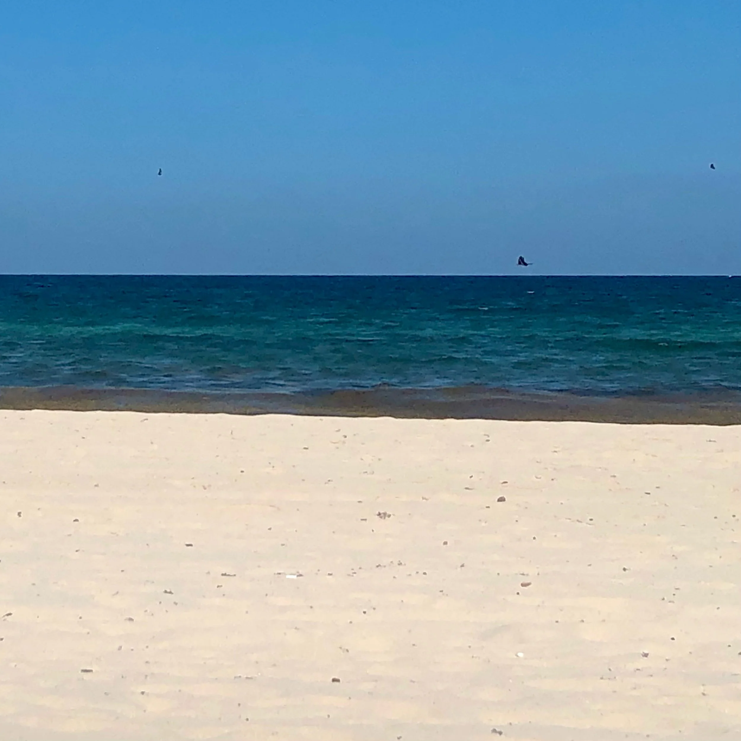 Monday, June 3, 2024