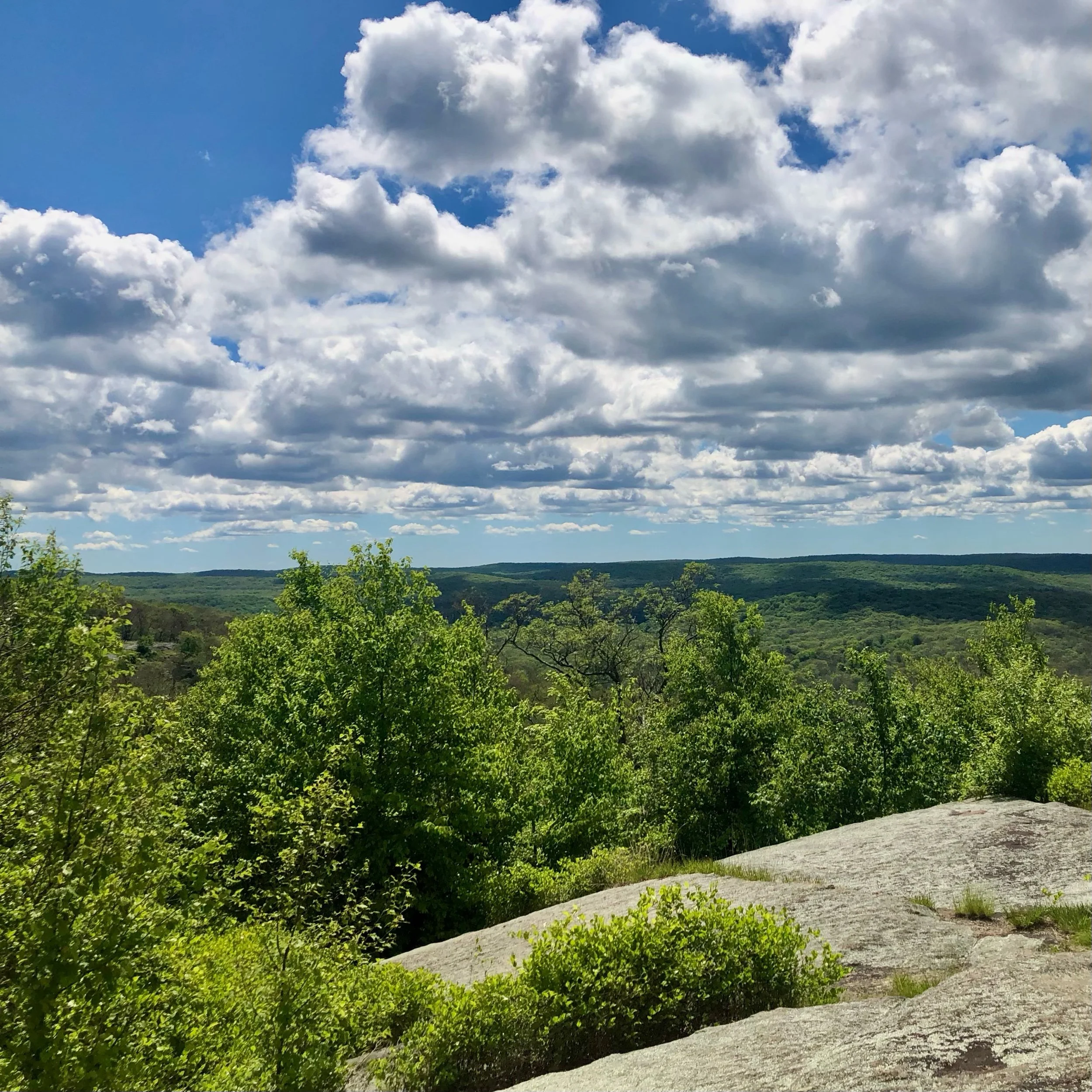 Monday, June 24, 2024