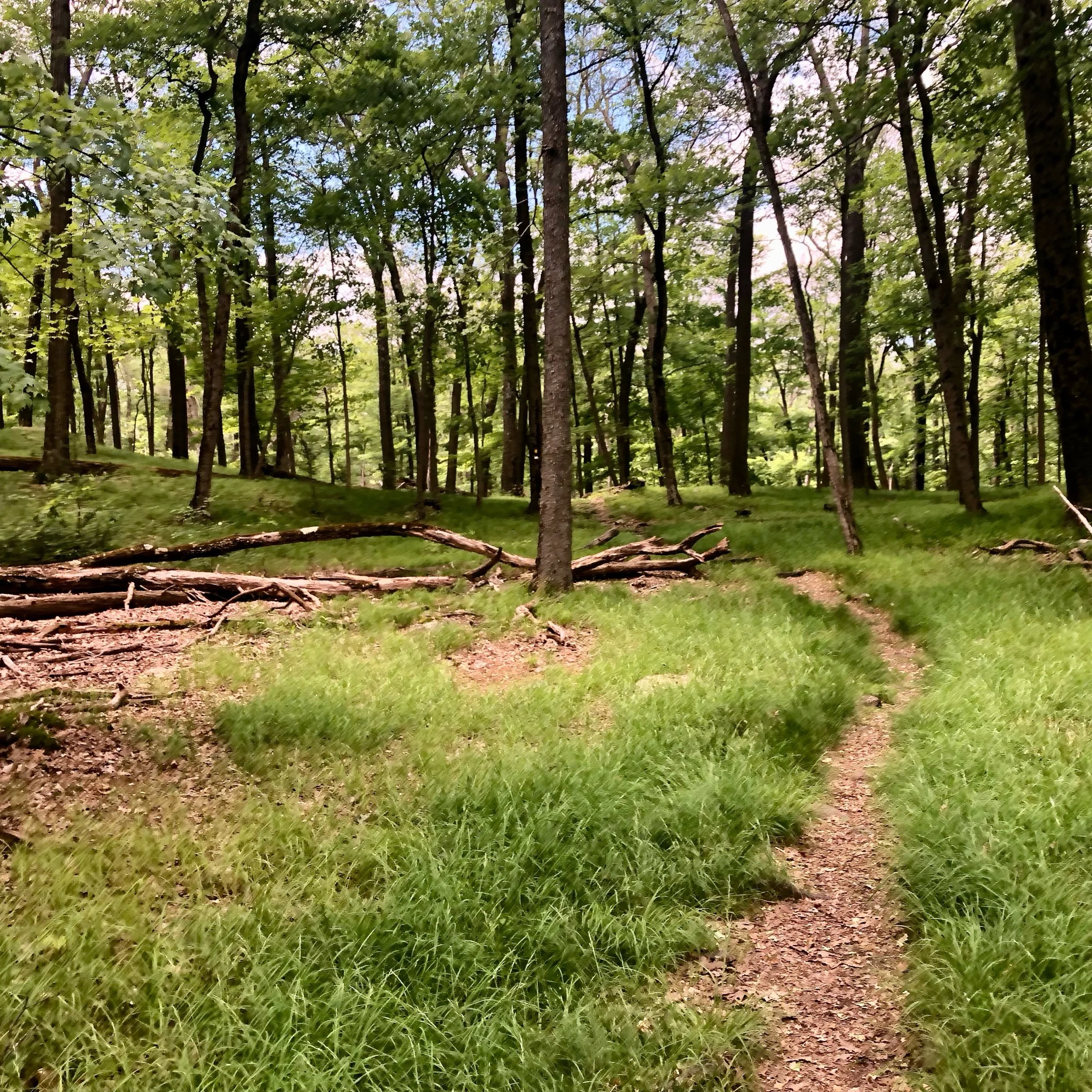 Monday, July 8, 2024