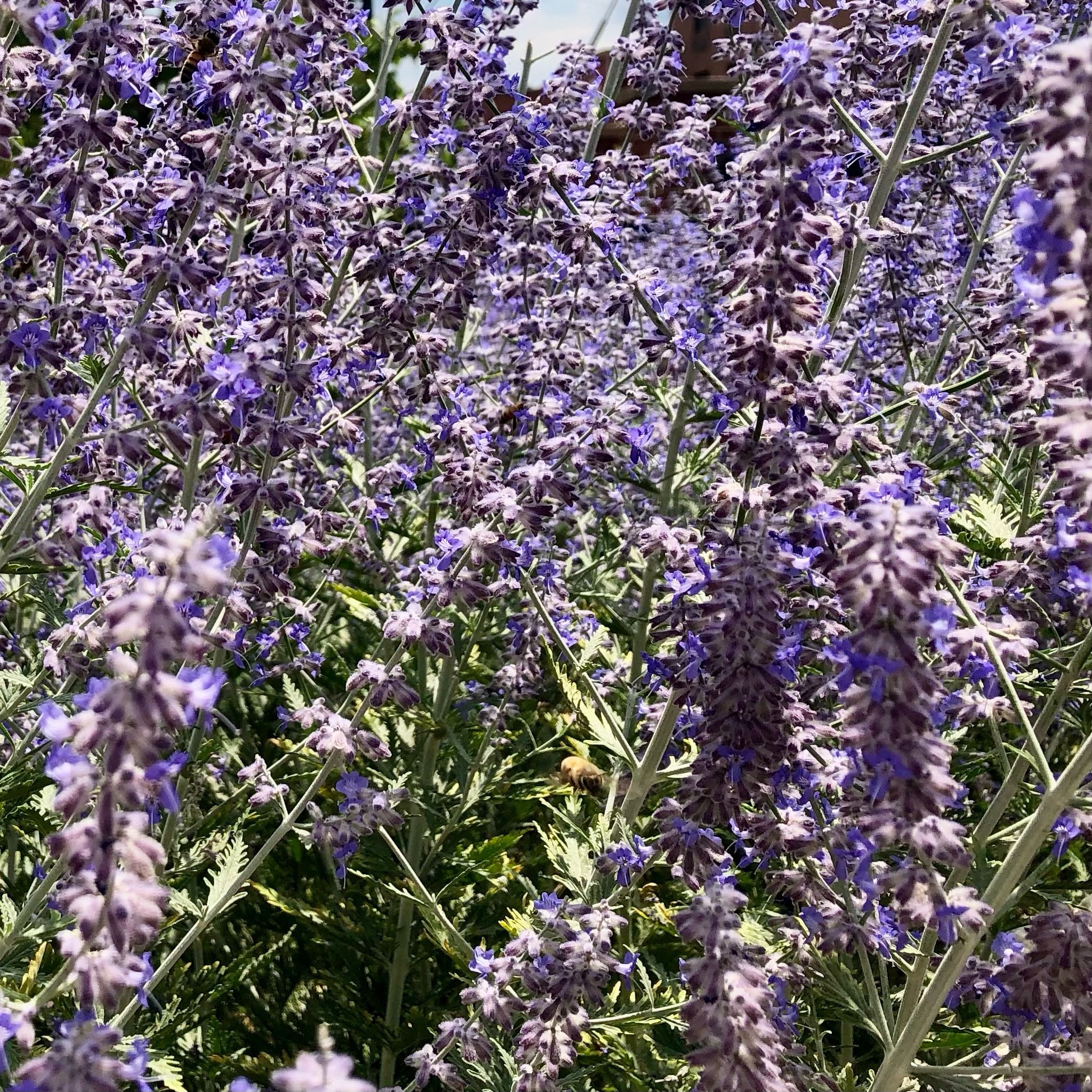 Tuesday, July 16, 2024