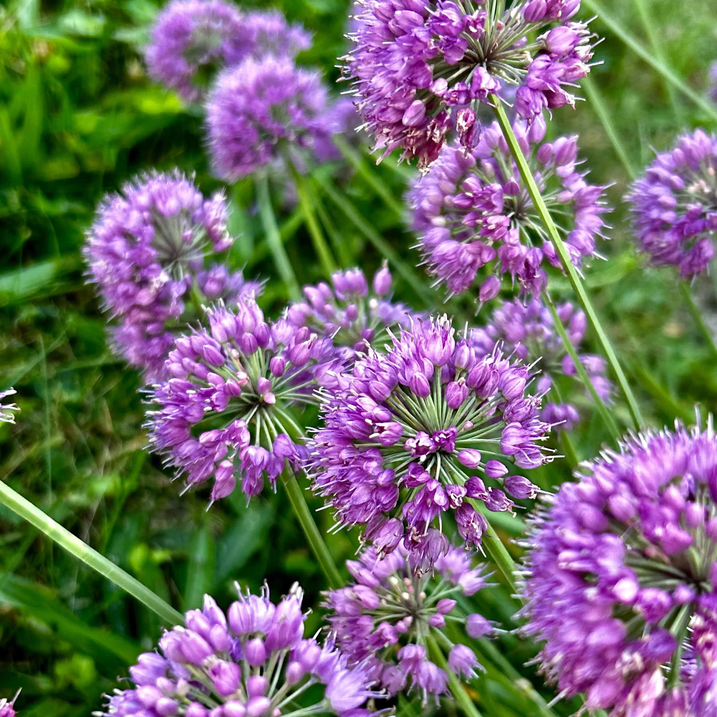 Tuesday, September 3, 2024