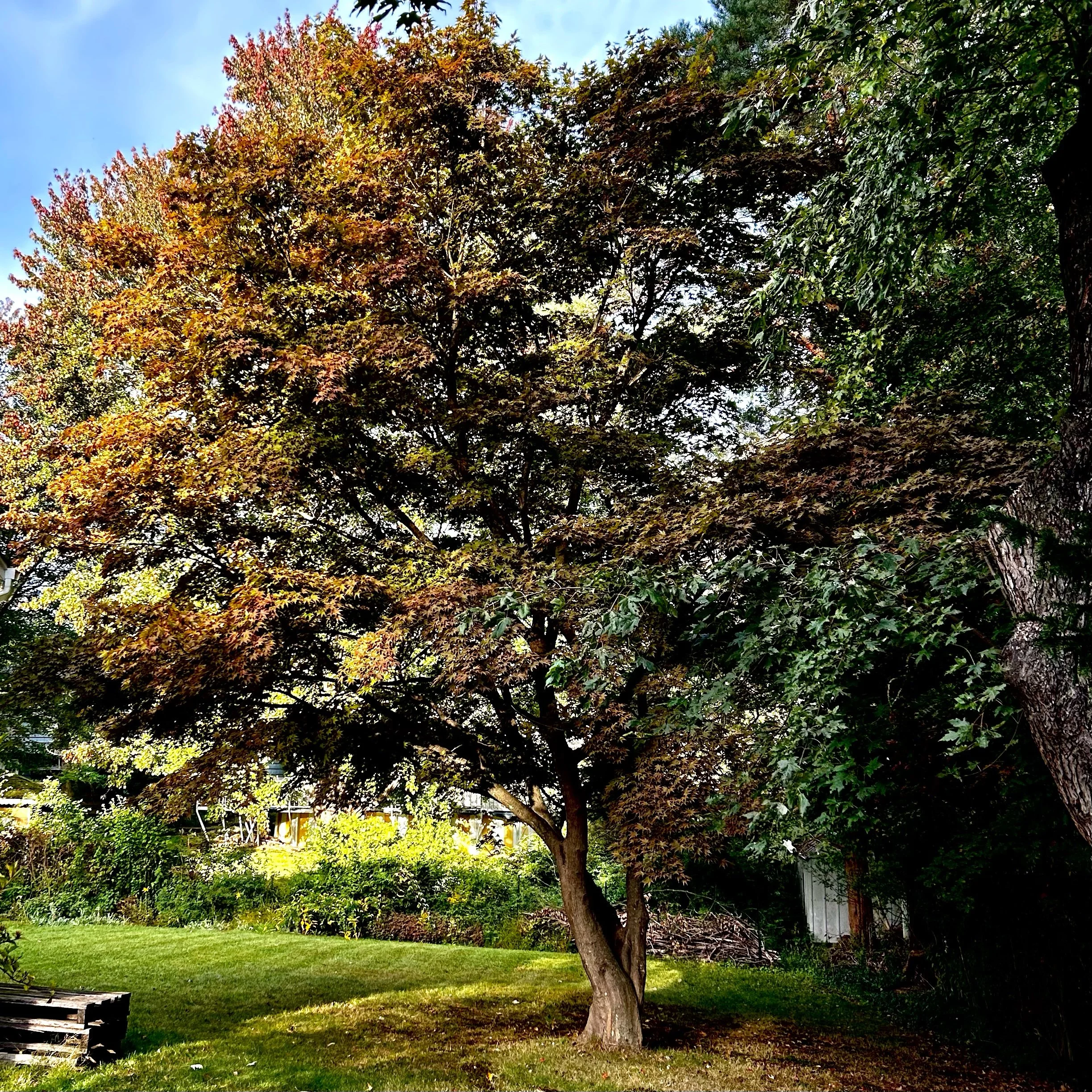 Monday, September 23, 2024