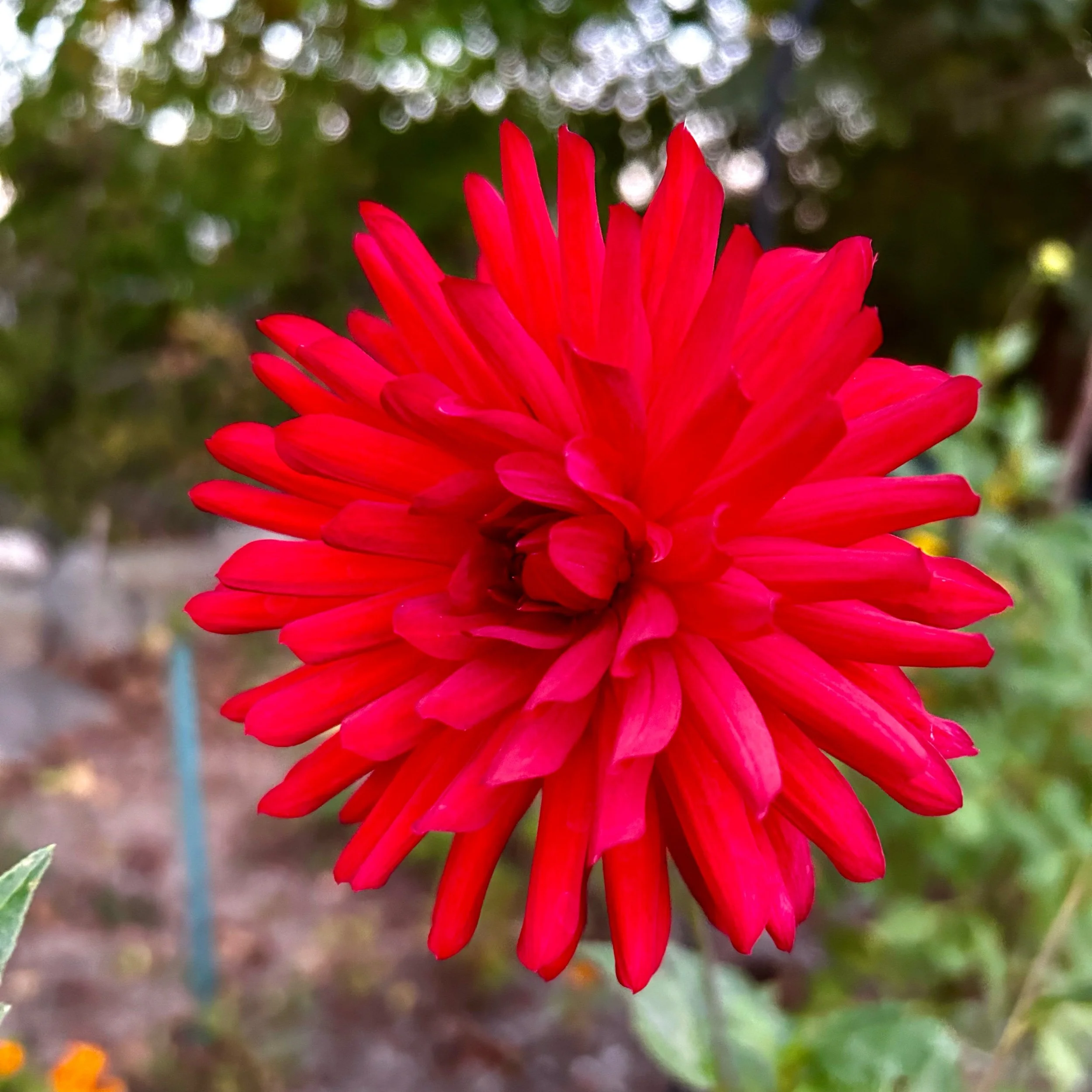 Monday, October 7, 2024