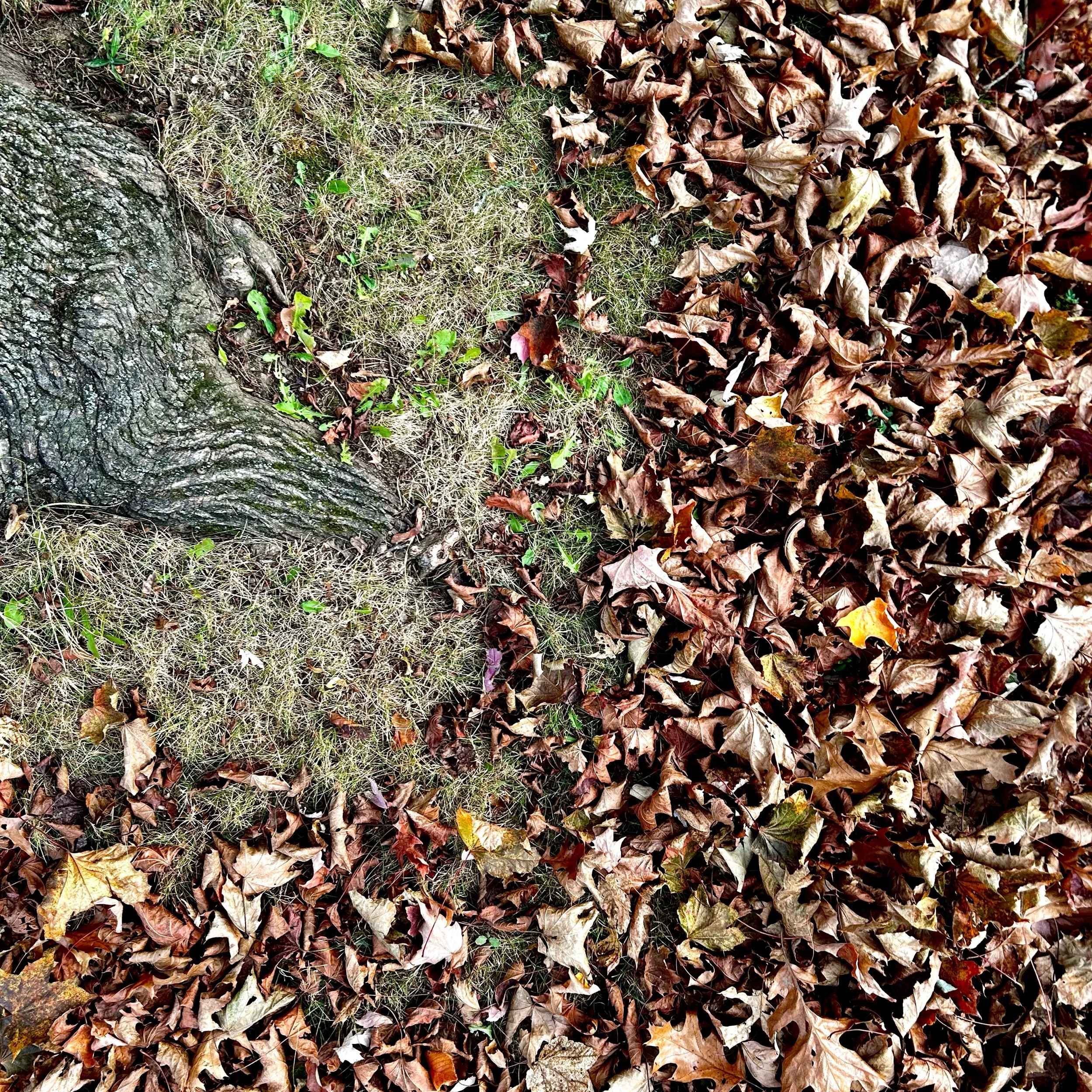 Monday, October 28, 2024