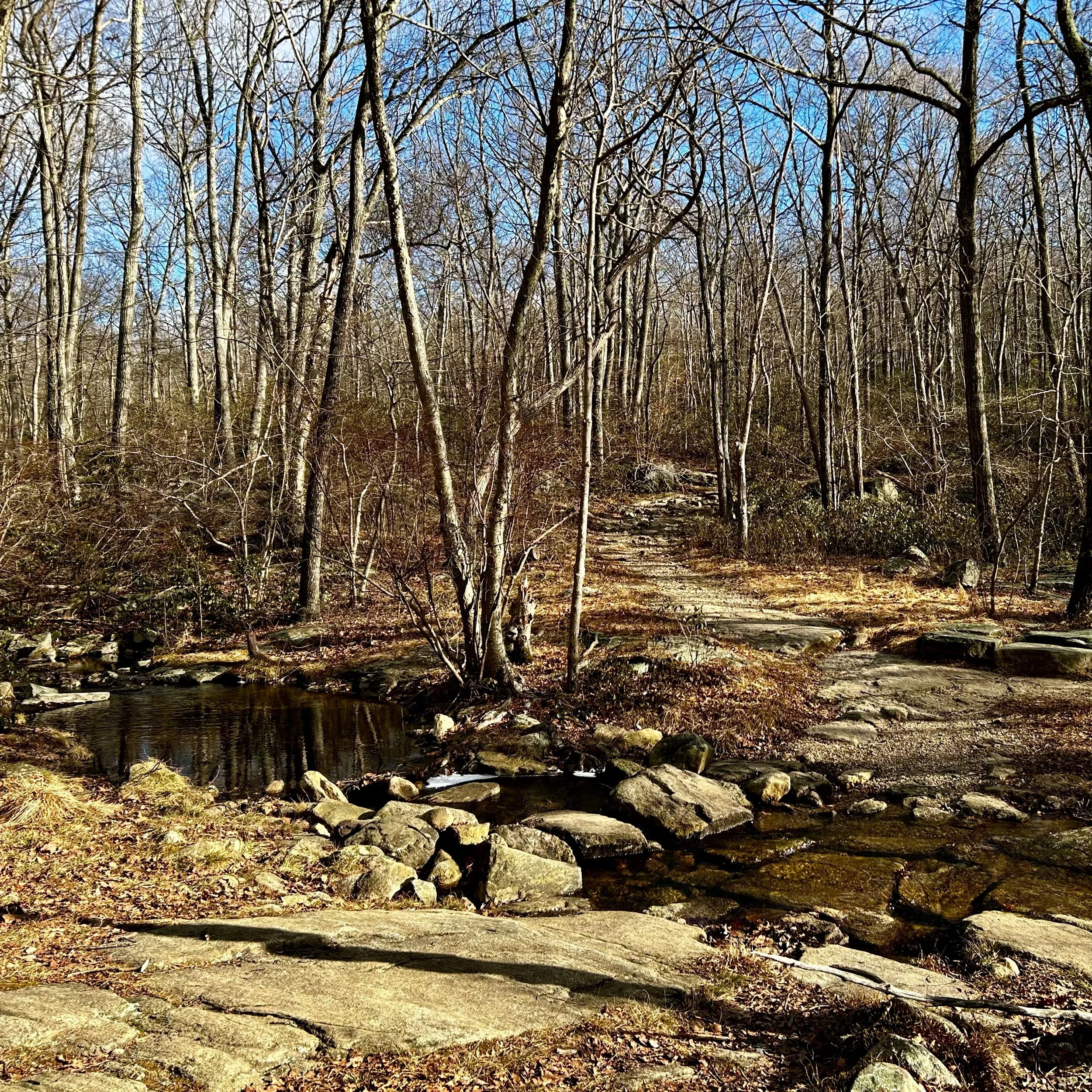 Monday, December 23, 2024