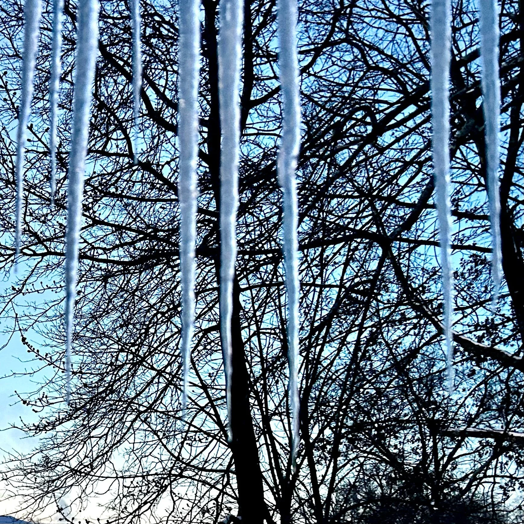 Monday, January 27, 2025