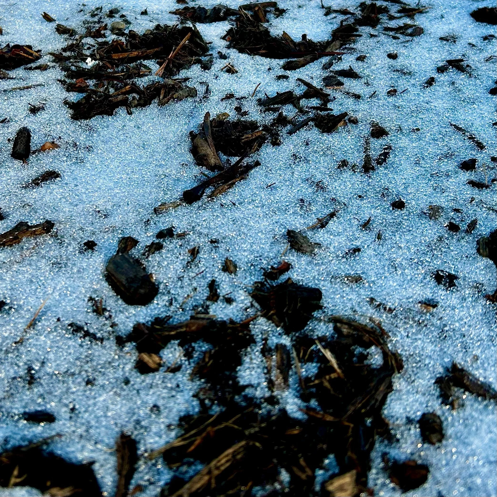 Monday, February 3, 2025