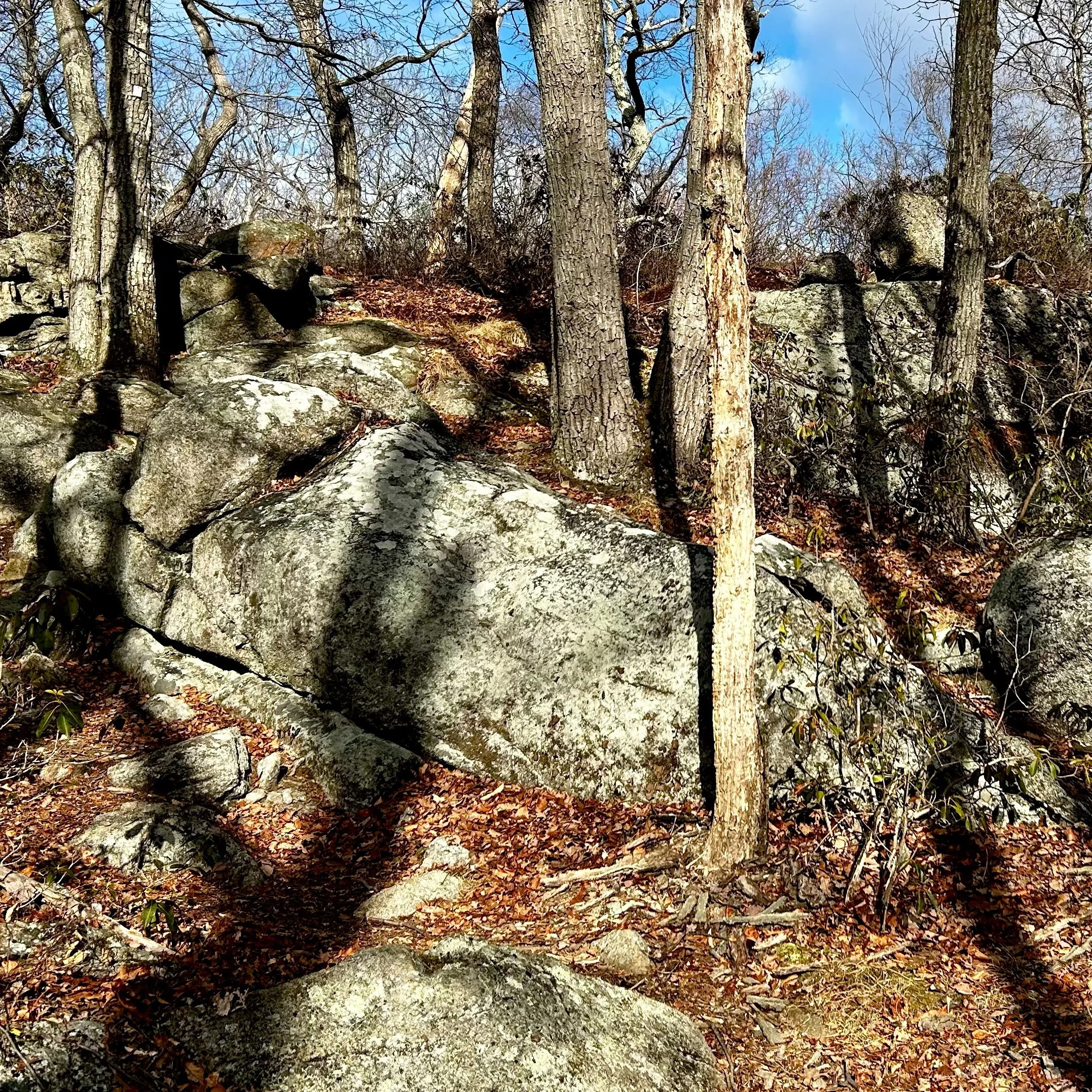 Tuesday, February 18, 2025