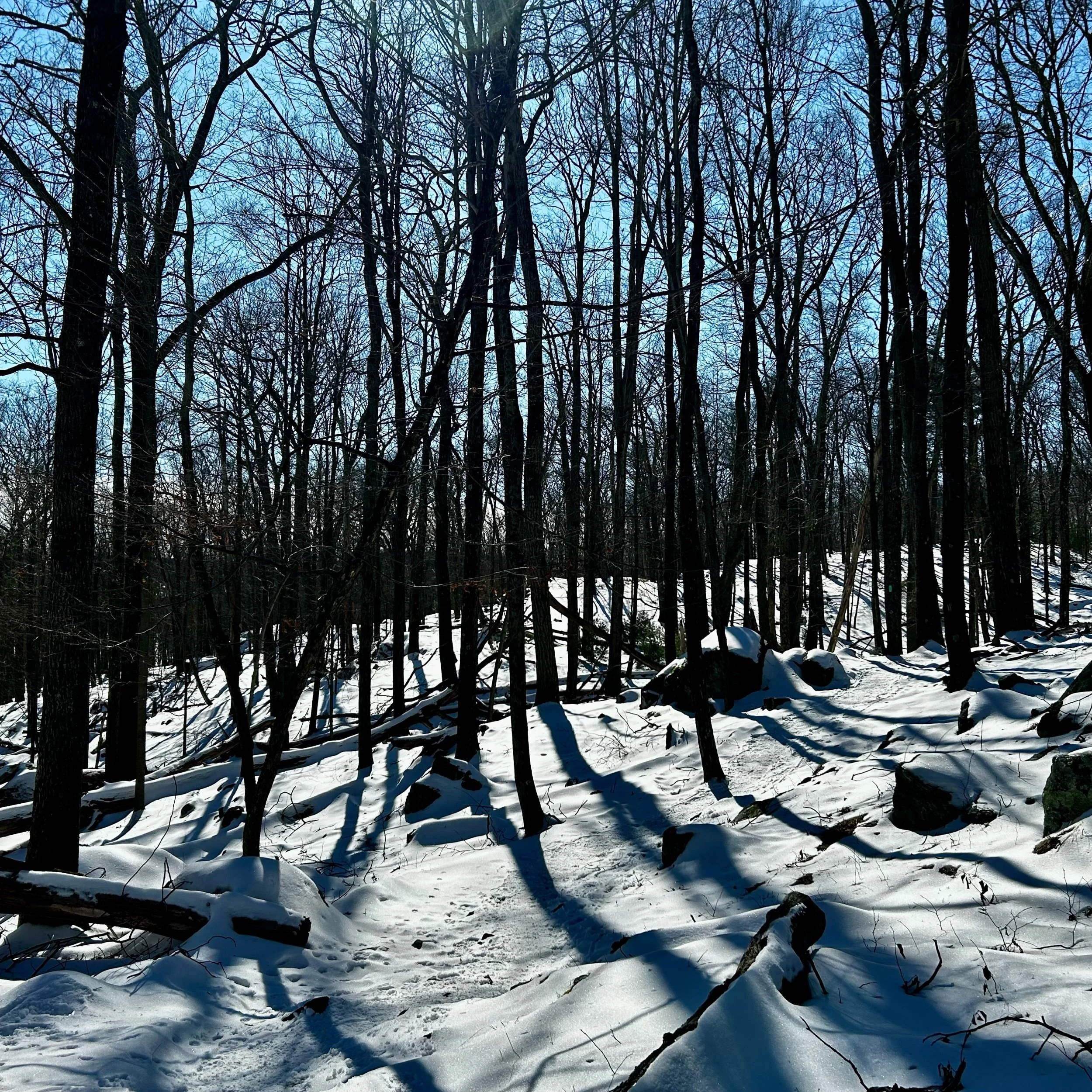 Monday, February 24, 2025