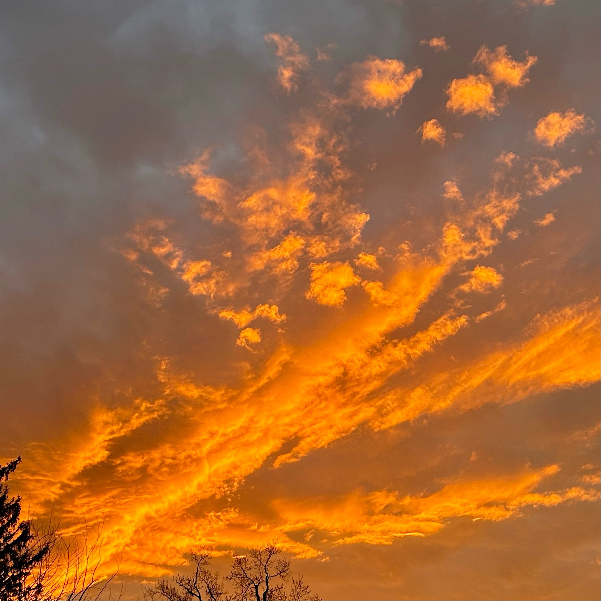 Monday, March 3, 2025