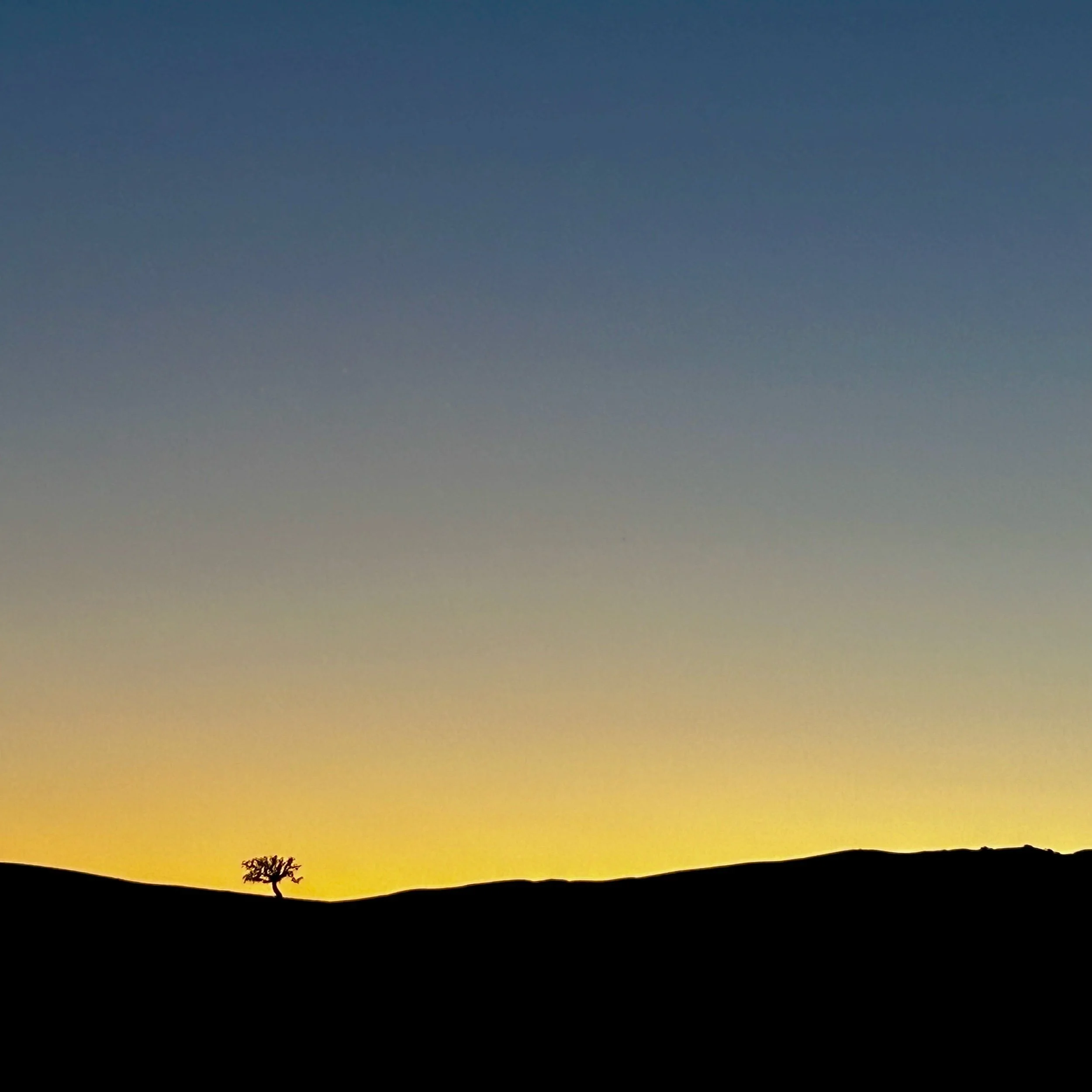 Monday, March 10, 2025