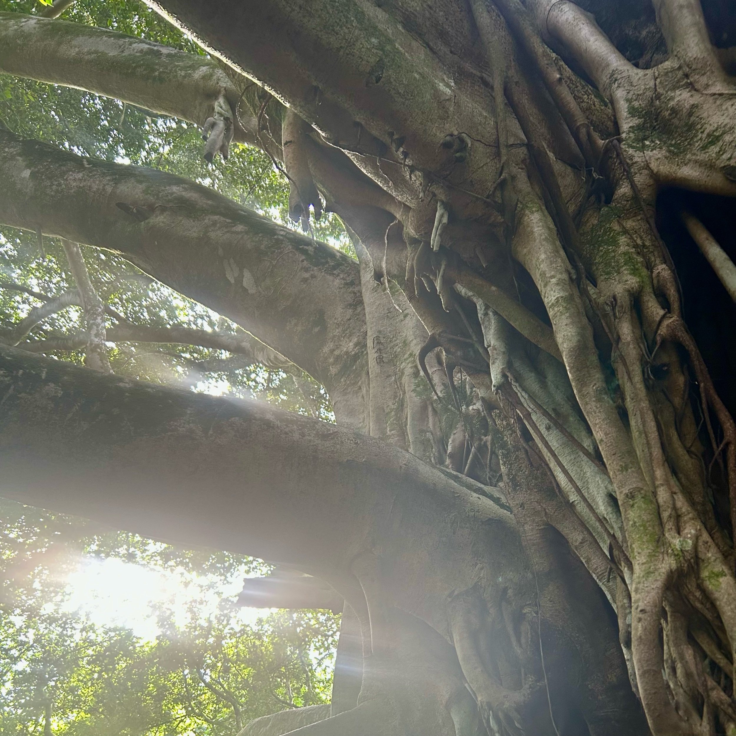 Monday, July 14, 2025