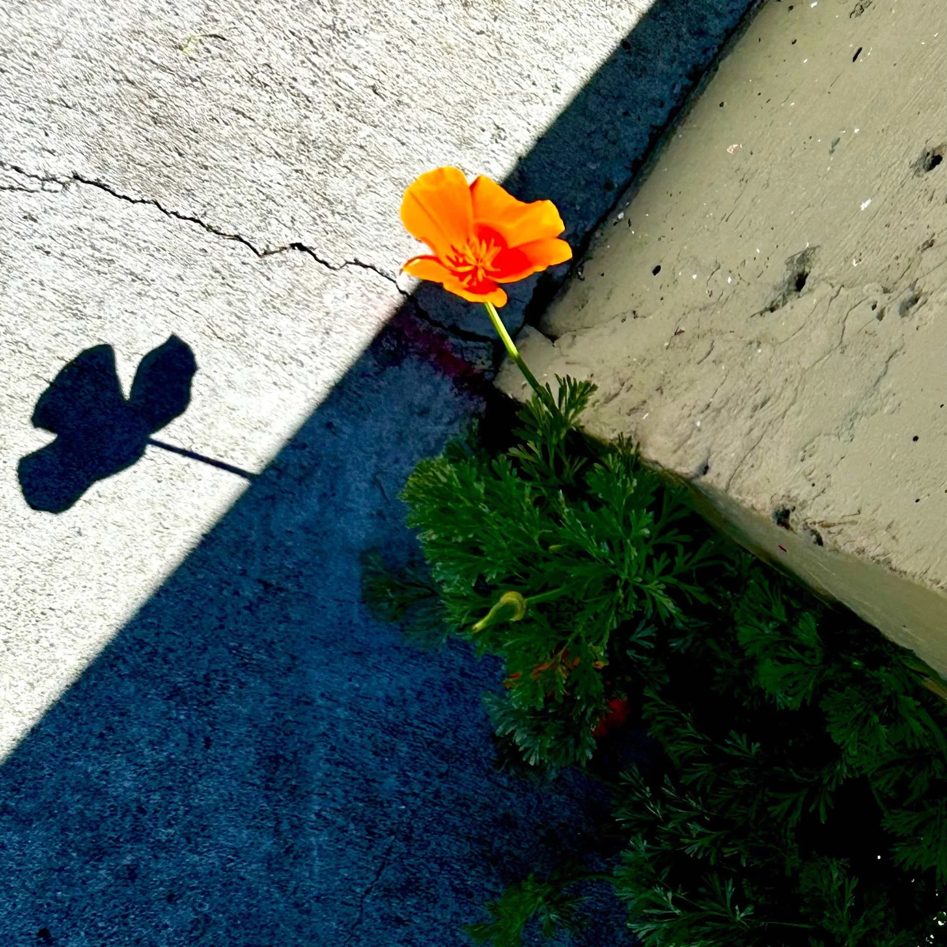 Monday, March 24, 2025