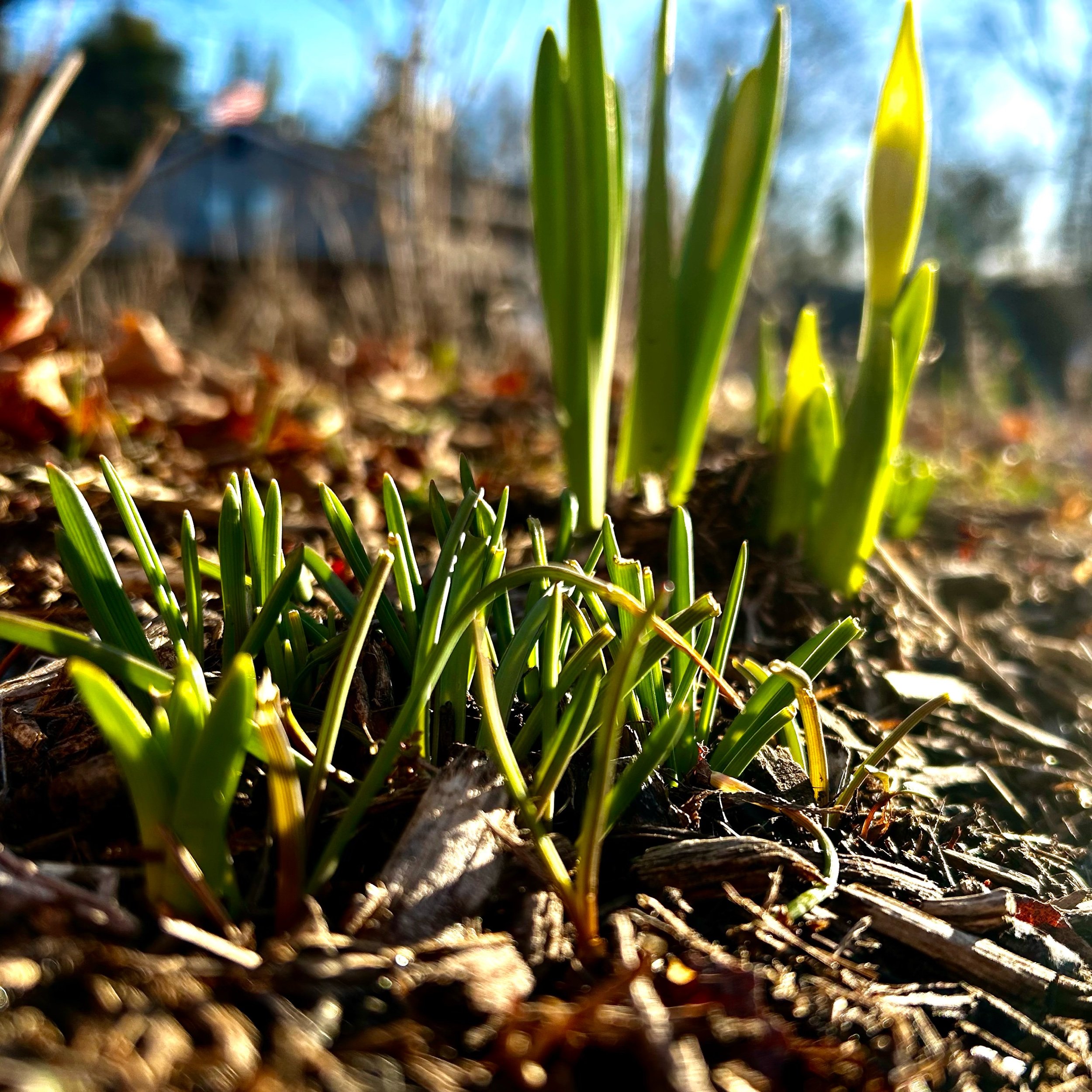 Tuesday, April 1, 2025