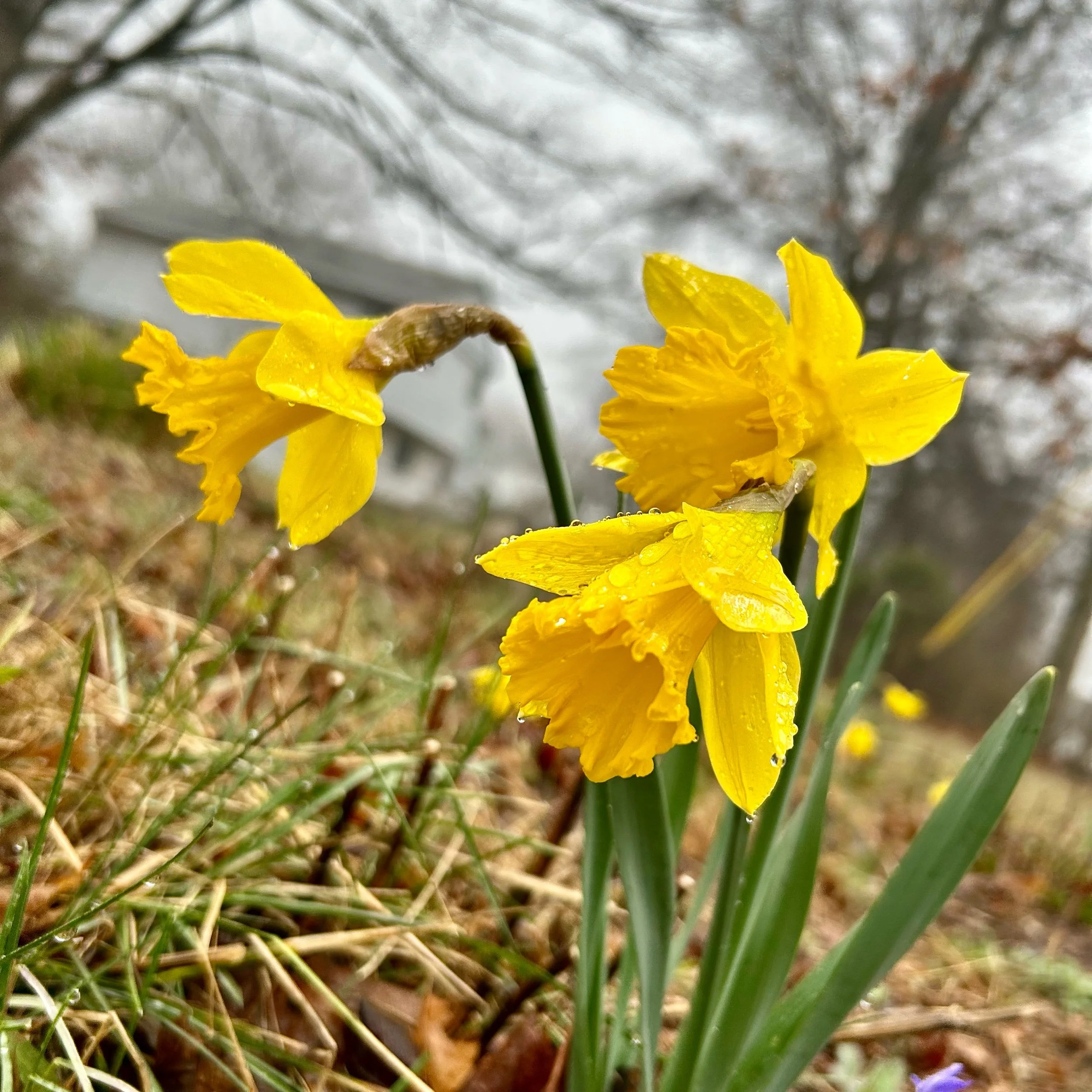 Monday, April 7, 2025