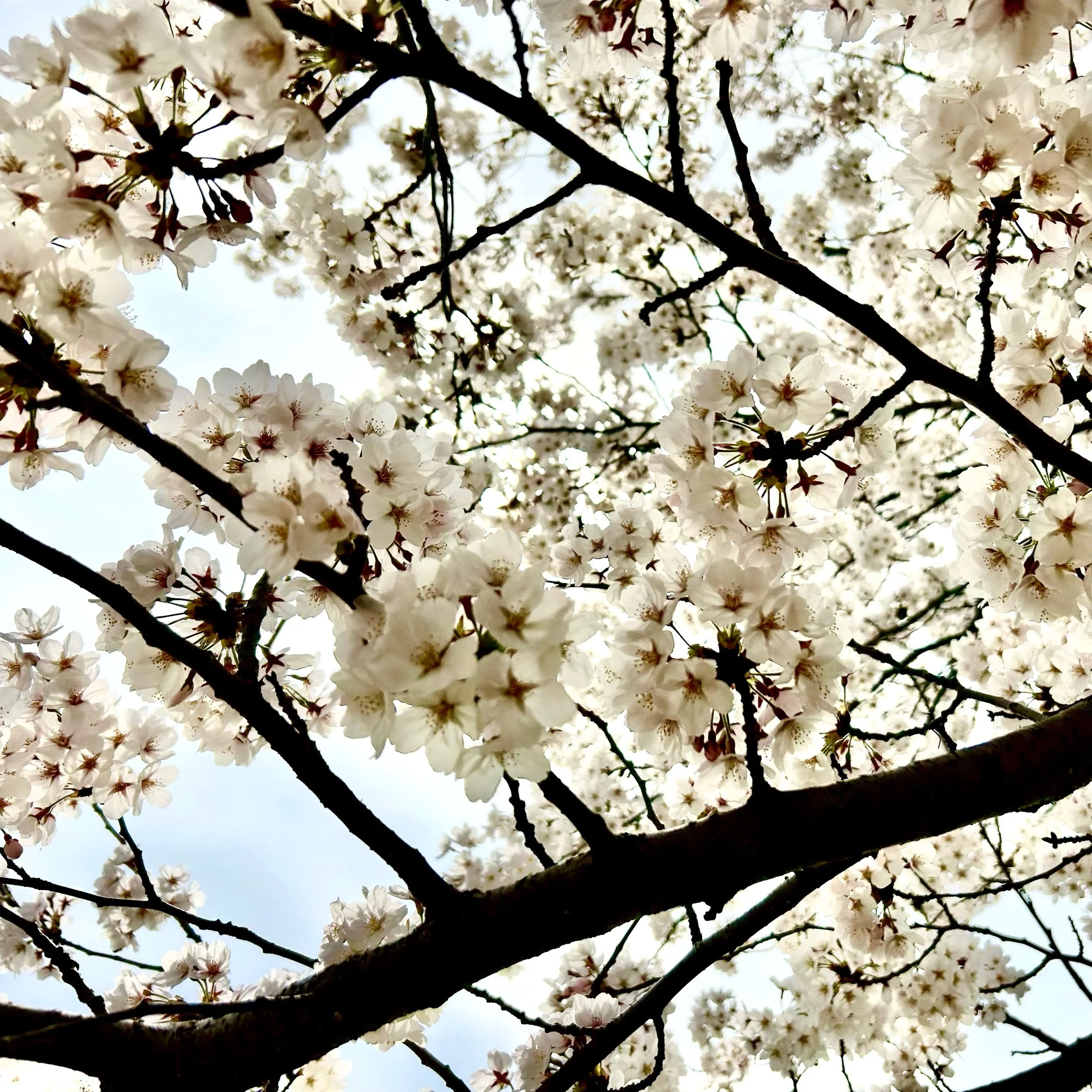 Monday, April 21, 2025