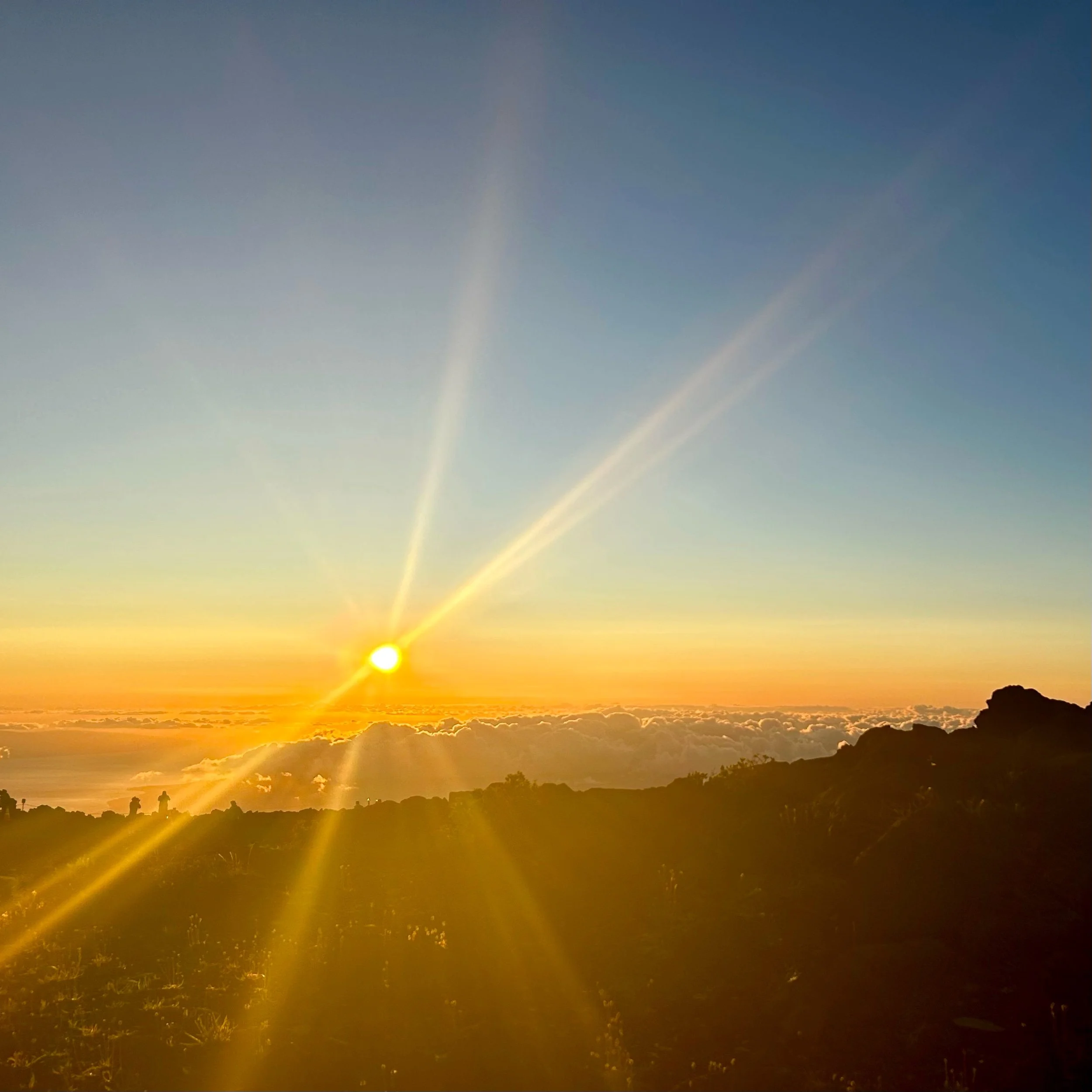 Monday, July 21, 2025