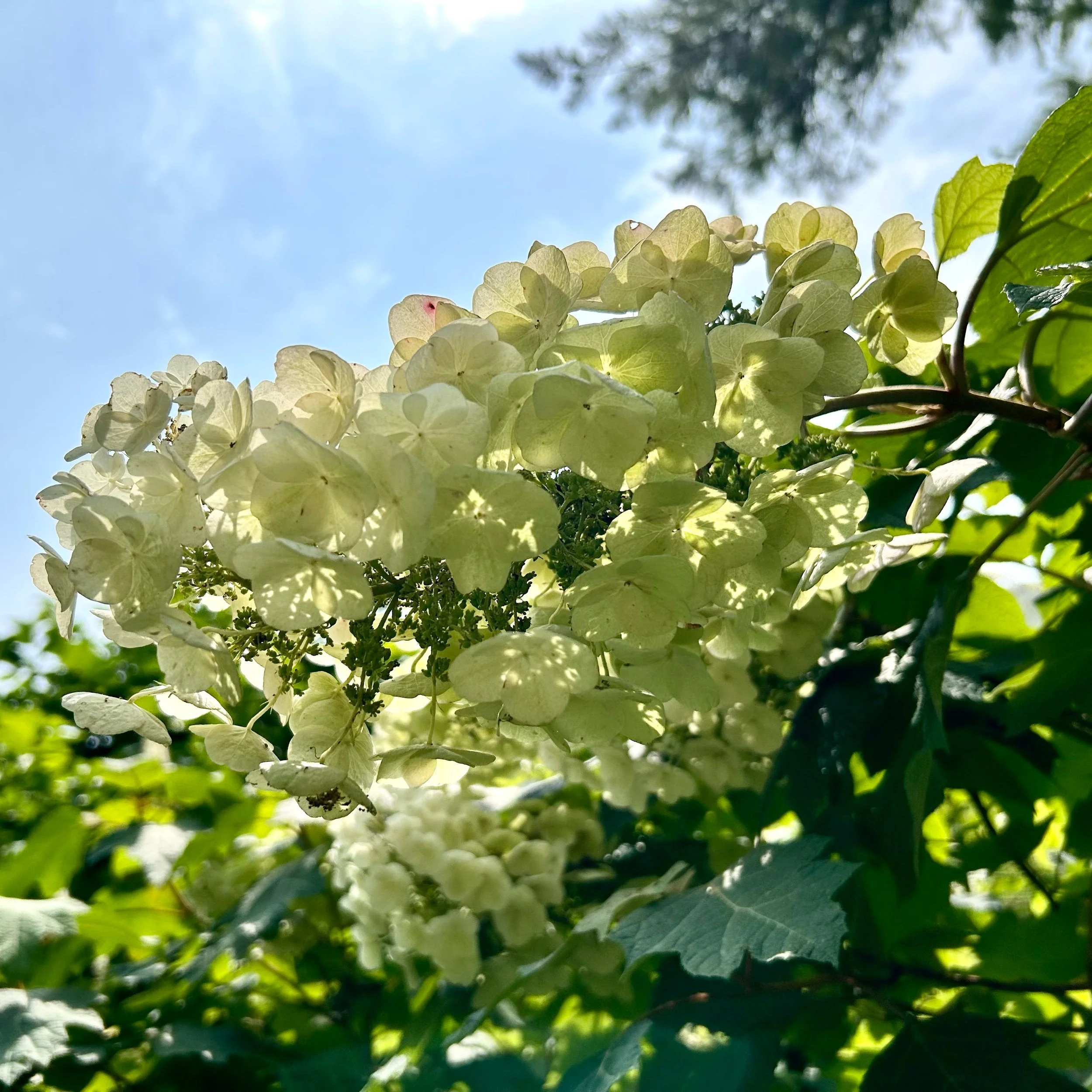 Monday, August 18, 2025