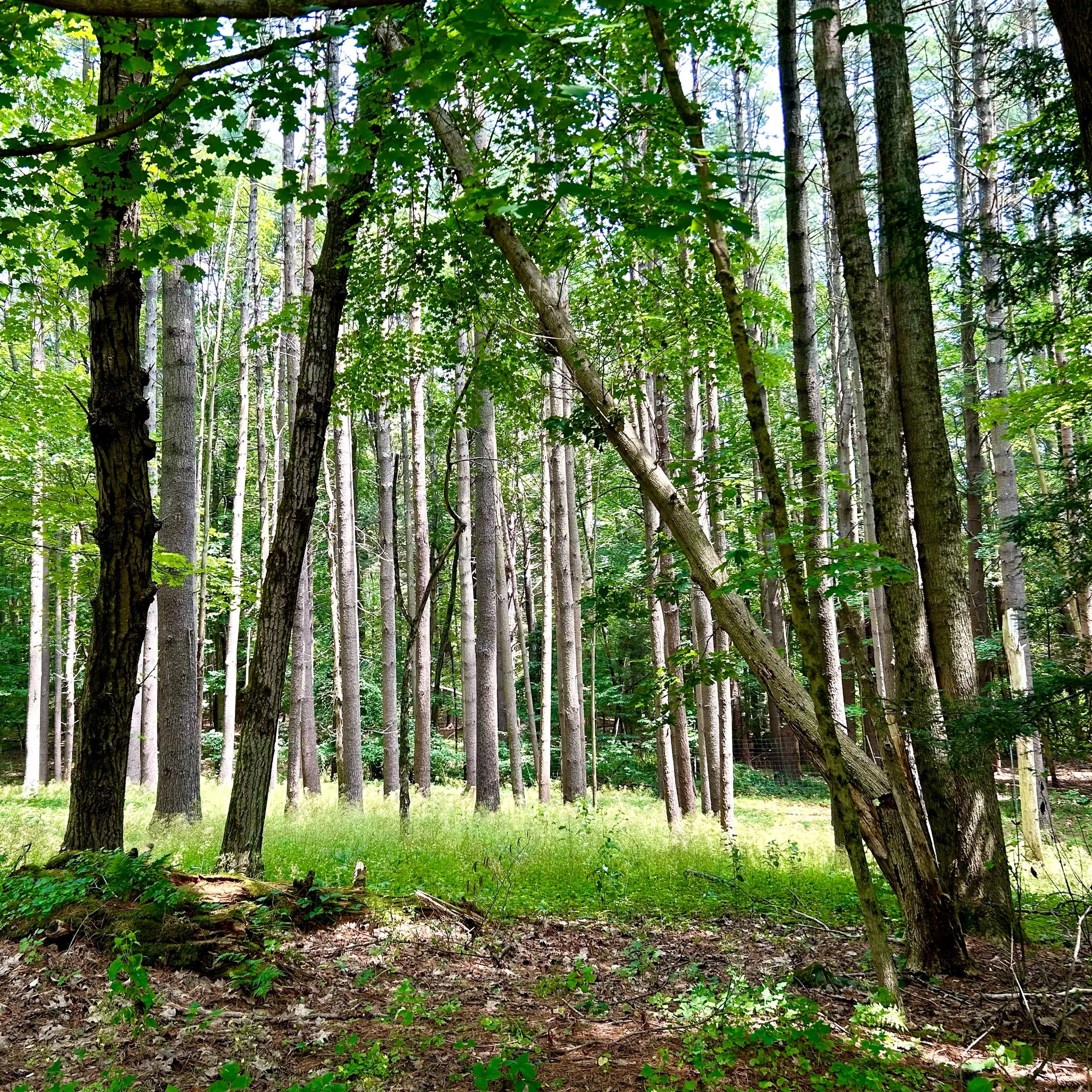 Monday, September 8, 2025