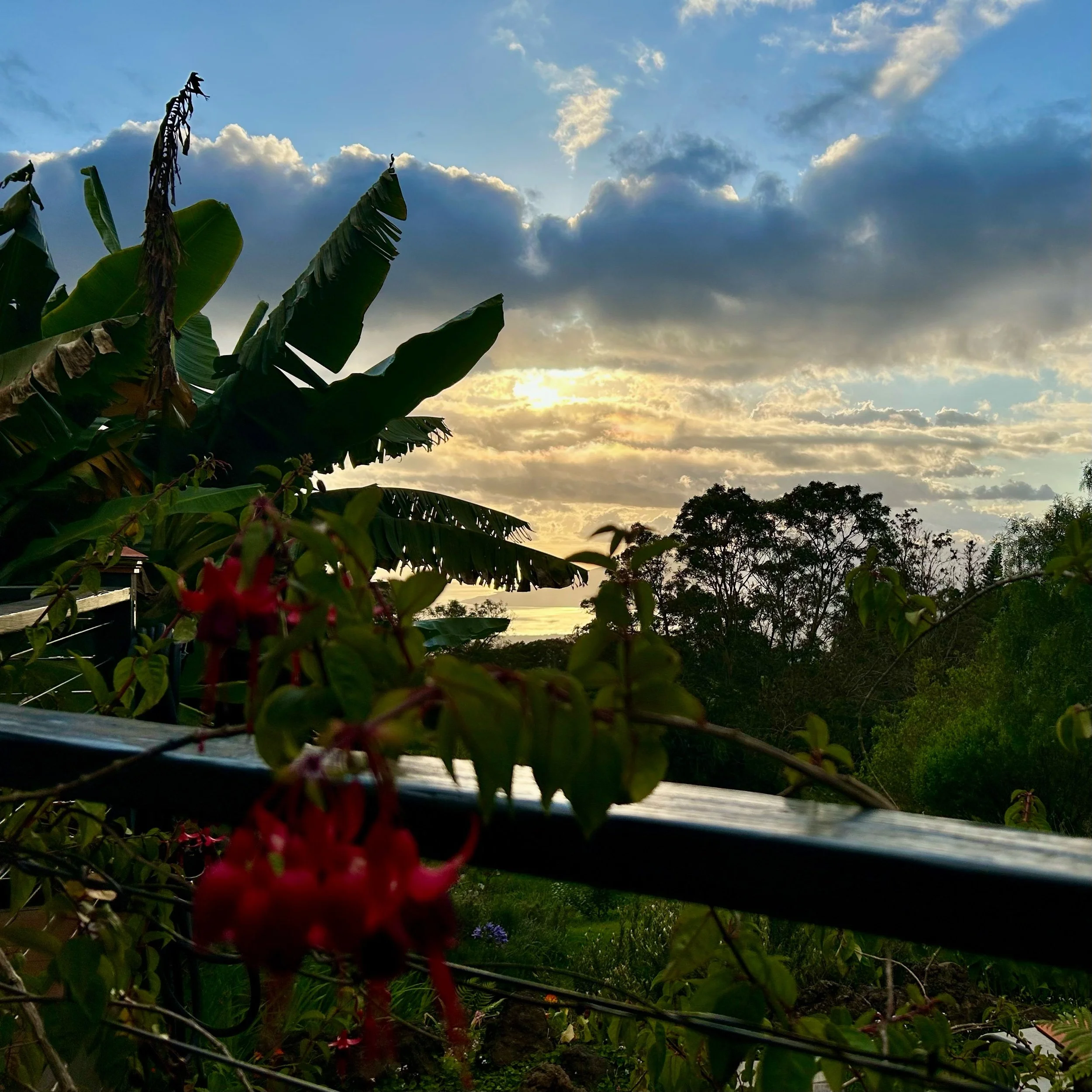 Monday, September 15, 2025