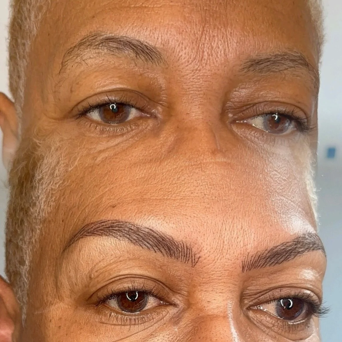 Nano Brows 😍

#AtlantaEyebrows #ombrepowderbrows #nanobrows #nanoblading