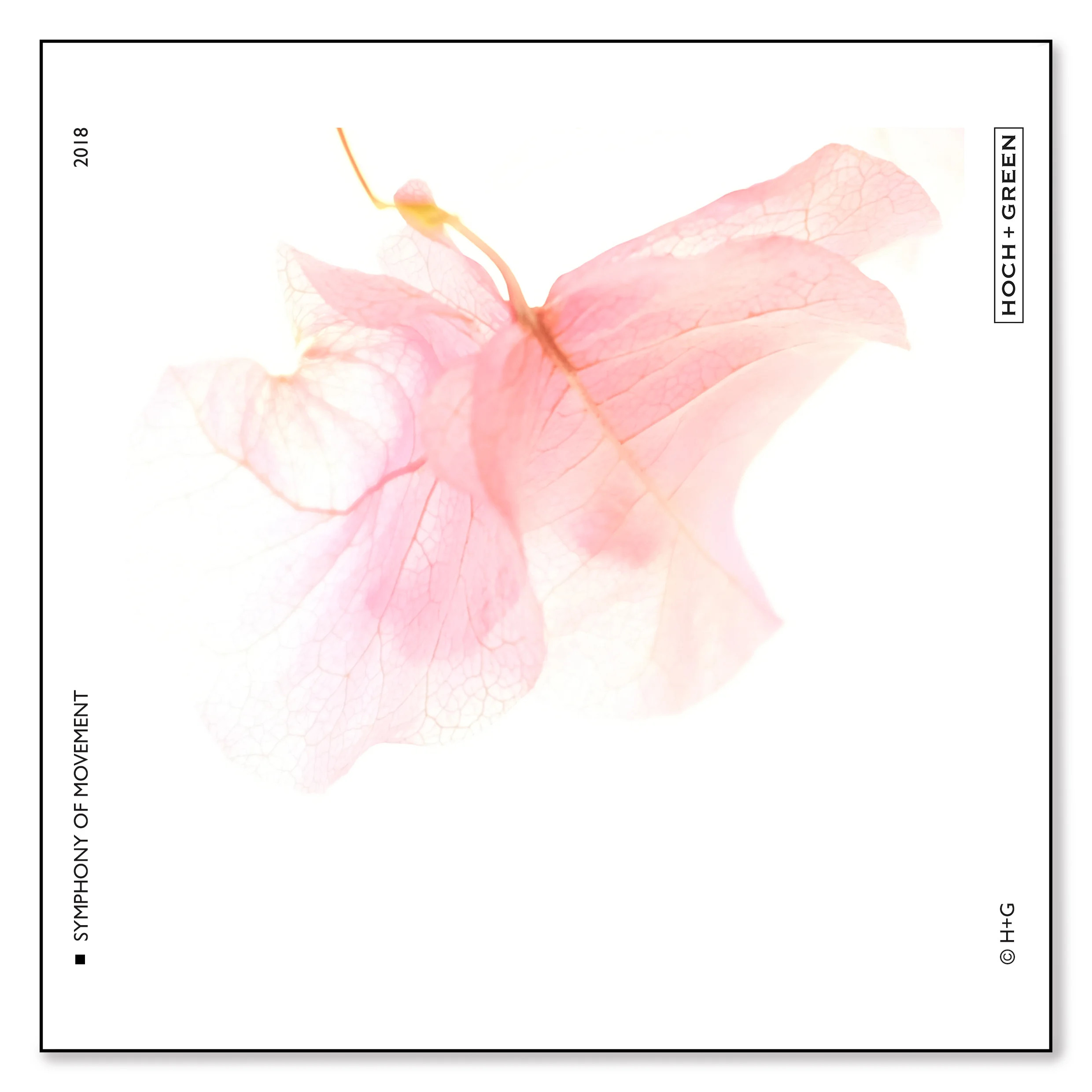 frame for insta6.jpg
