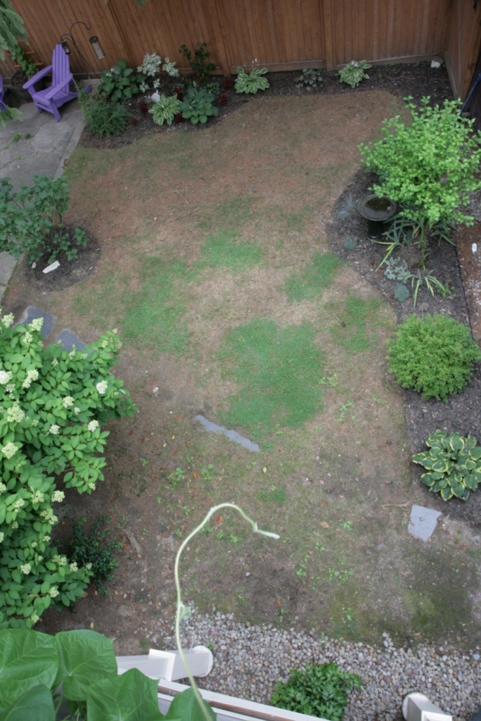 Our yard from above, probably in the 2nd or 3rd year of trials
