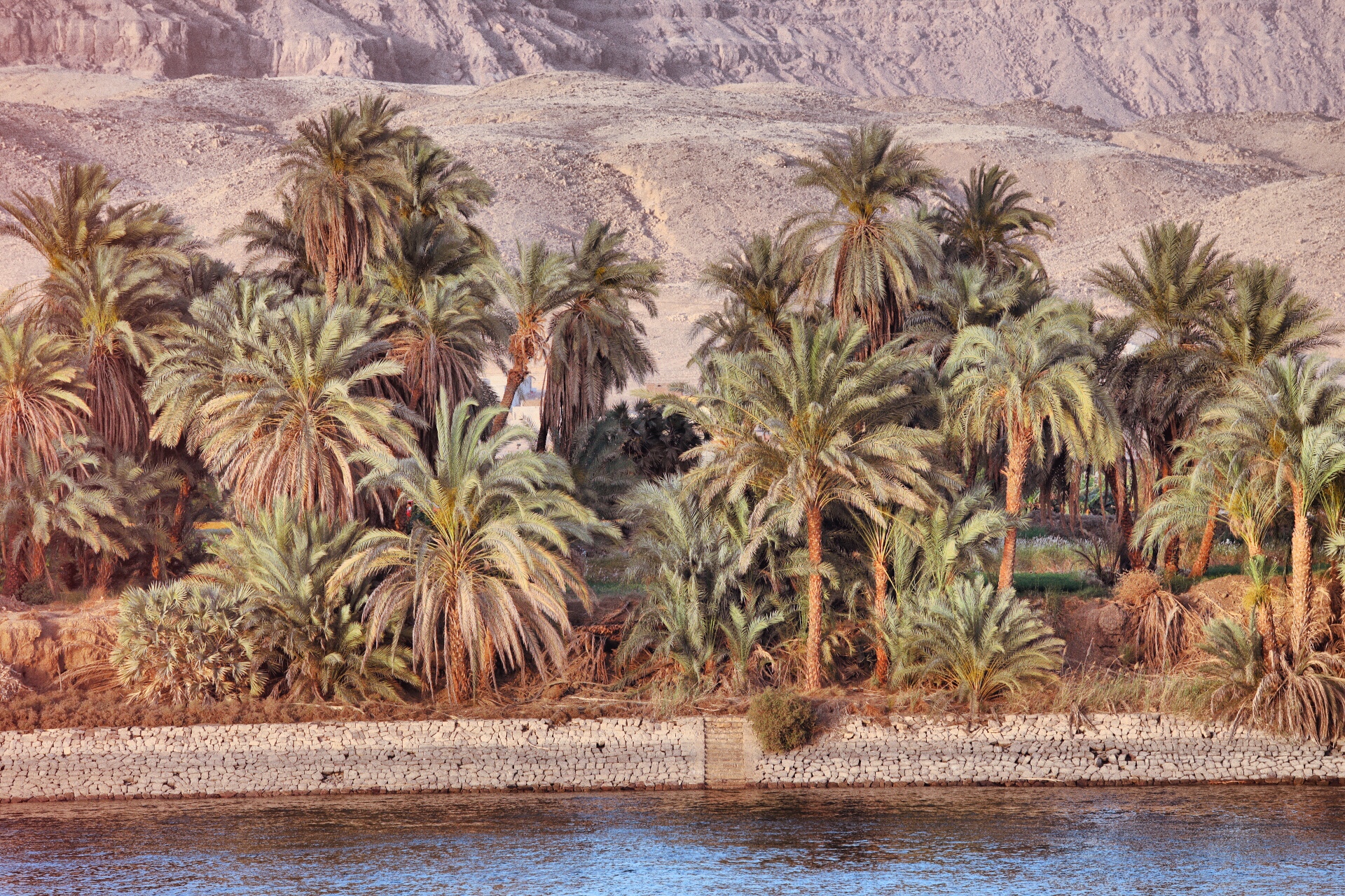 A riot of palms festoon the river banks.