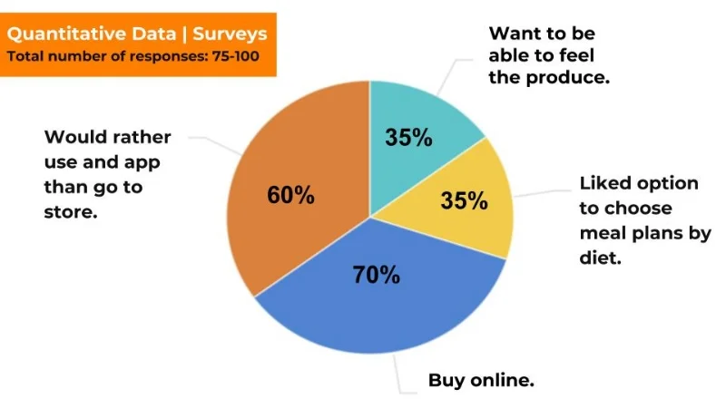 Quantitative Data: Survey Insights