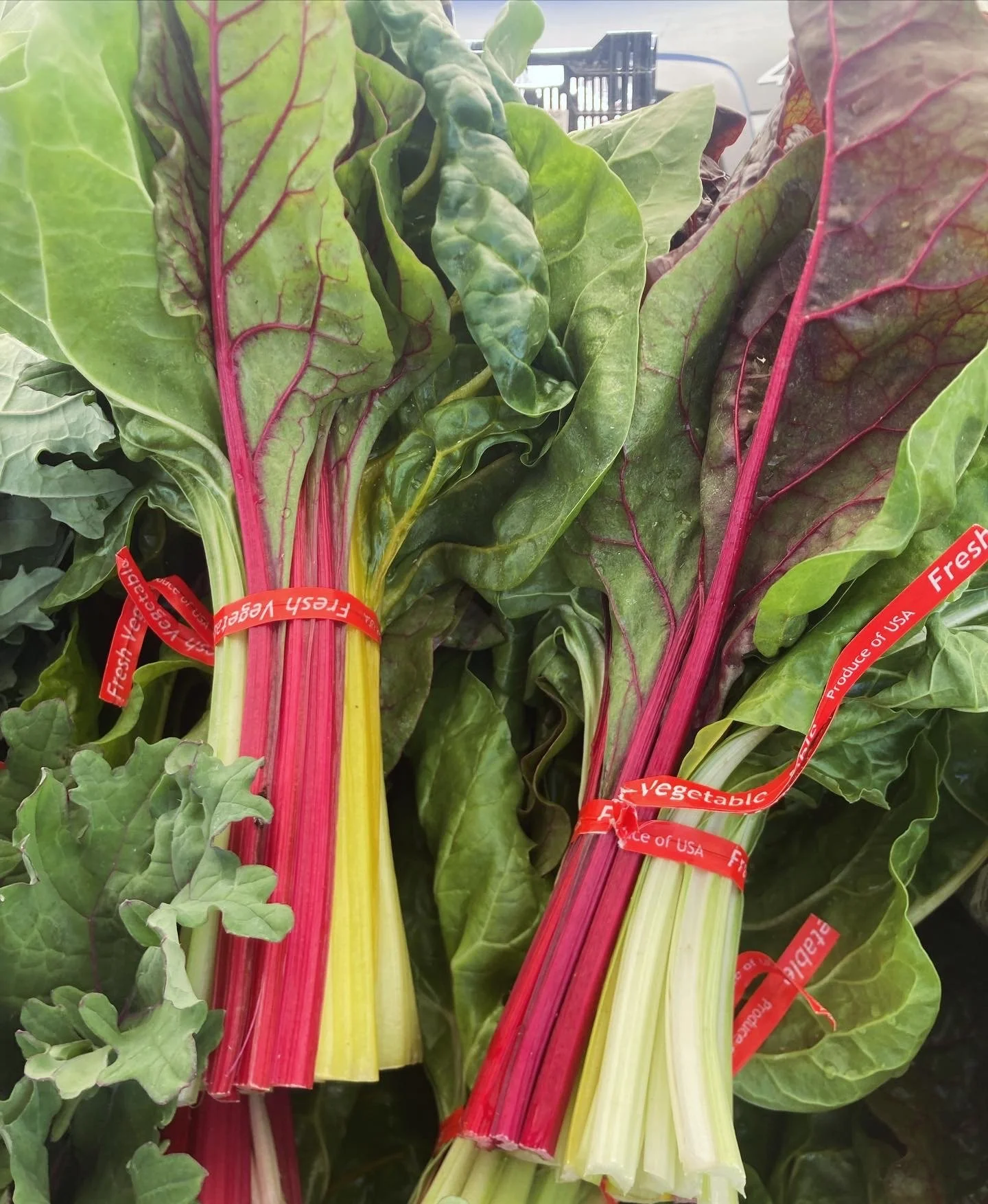 Piccalilli Swiss Chard (Bunched)