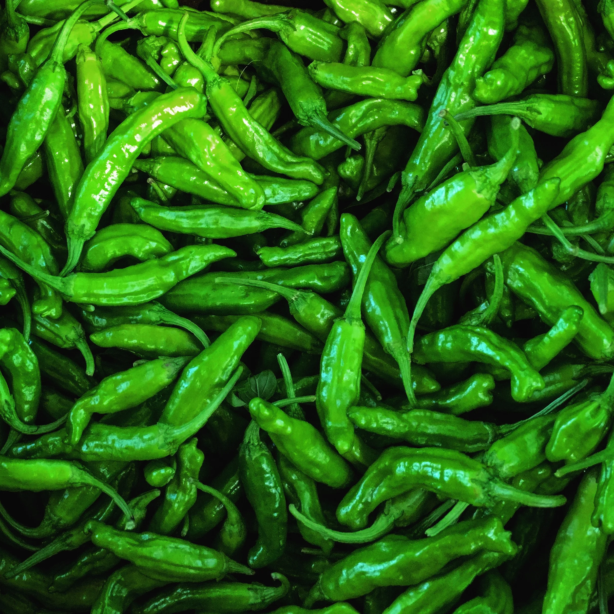 Blistered Shishito Peppers