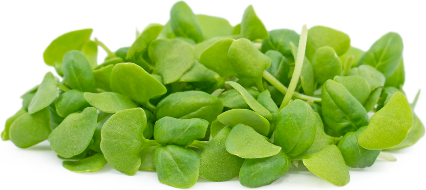 3DF2D777-EE36-46BA-834F-37D2789FBE26