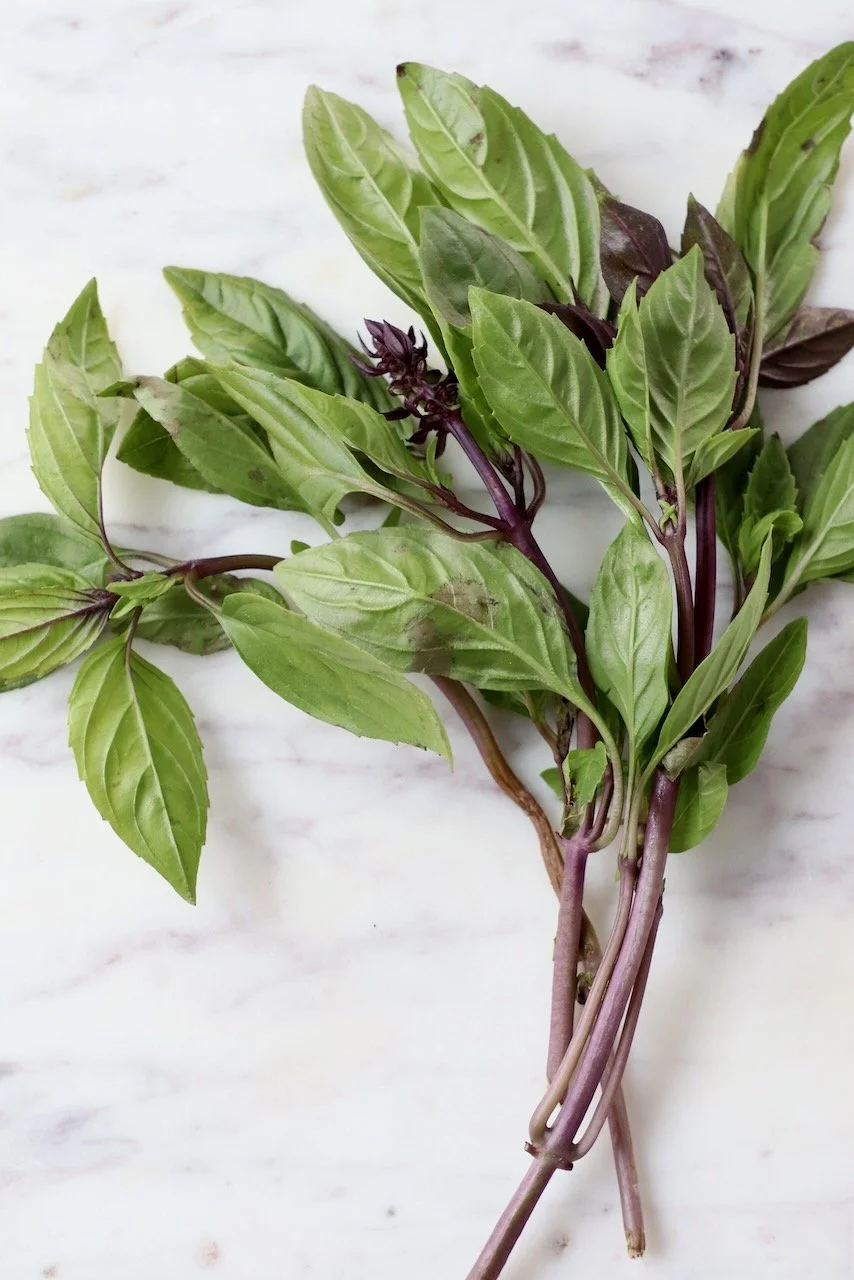 thai-basil-7.jpeg