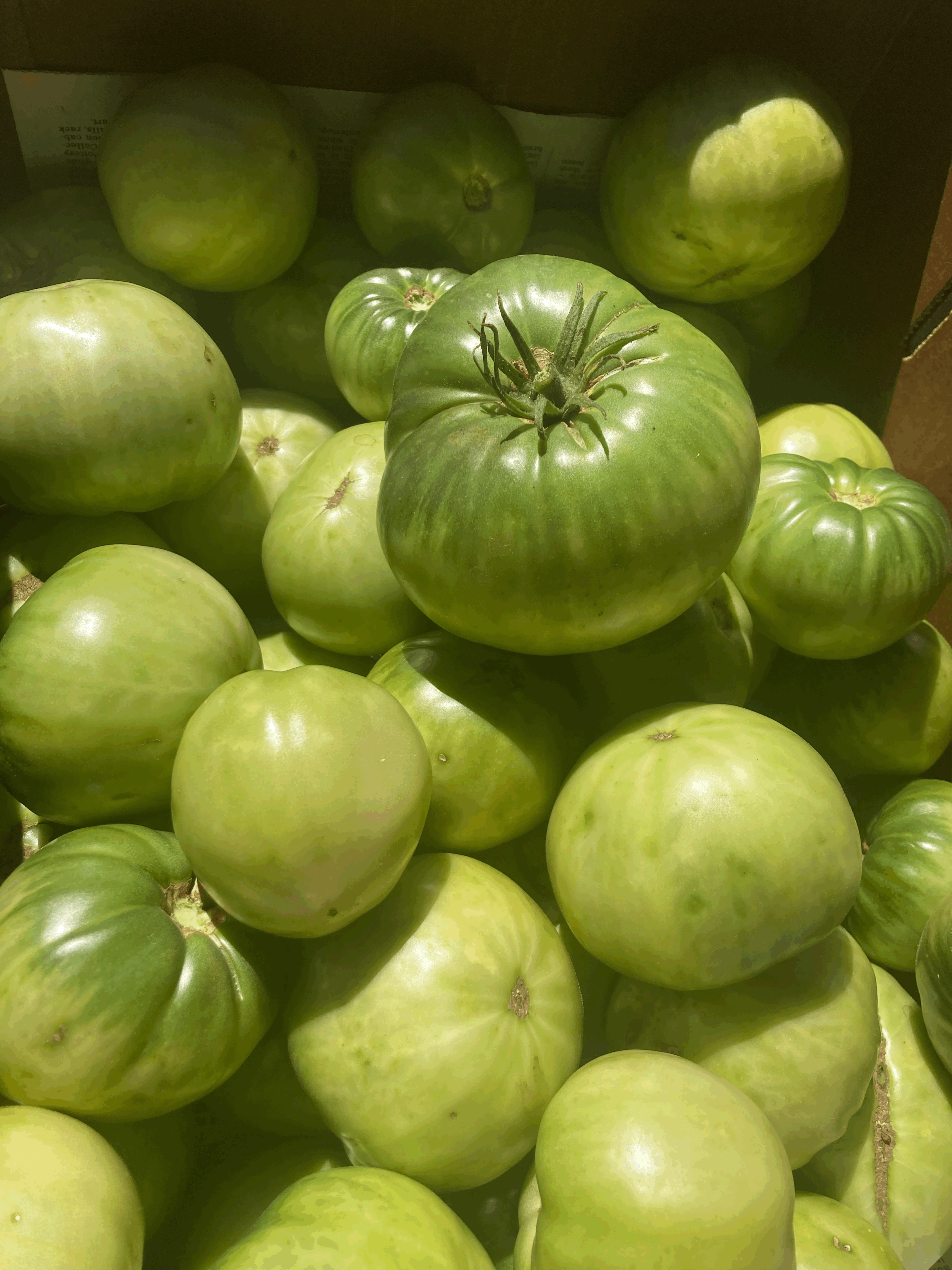 Piccalilli Green Tomatoes