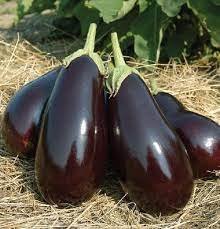 Britt's Farm Eggplant