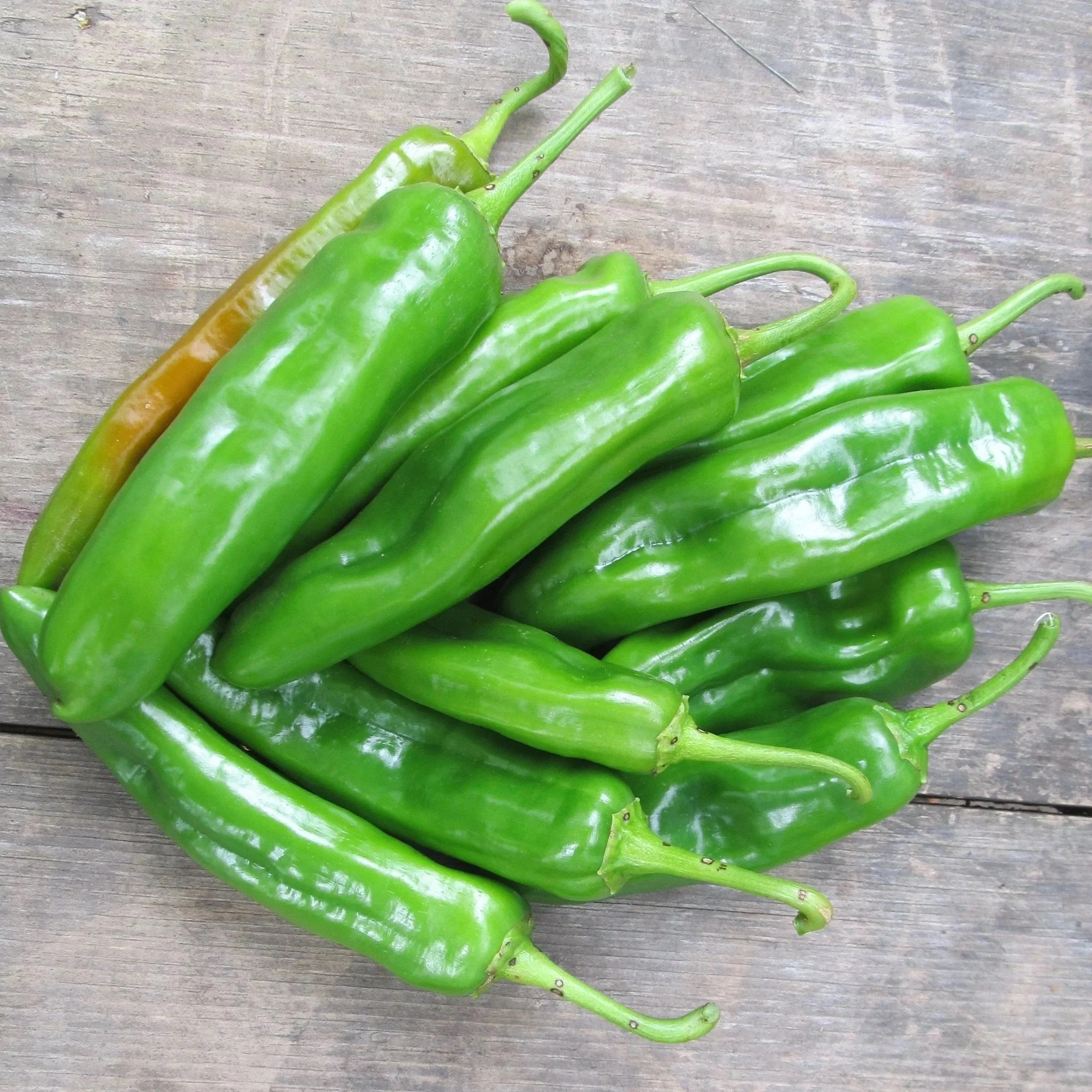 Anaheim-Hot-Pepper-vendor-unknown-1630676653.jpg