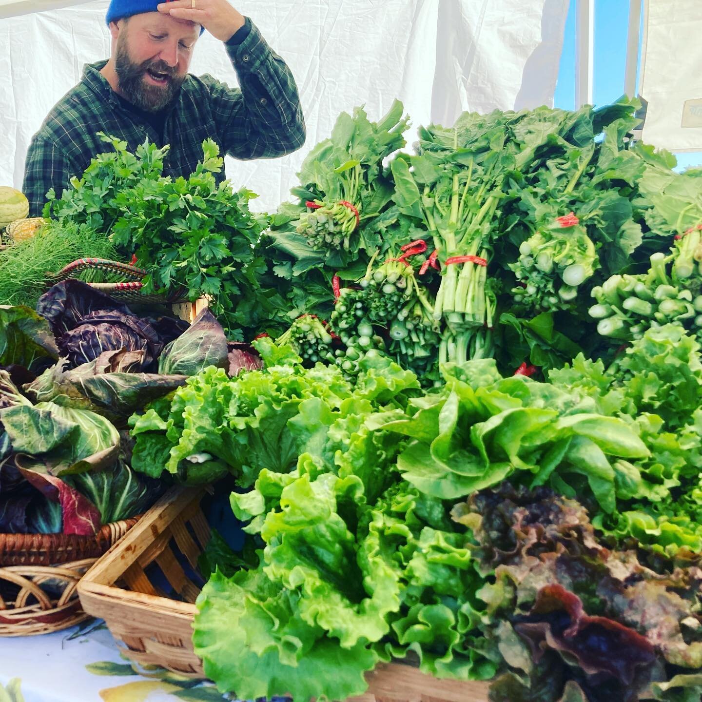 Dang! How you grow those beauties under all them blankets Farmer Nat?! All this and more are available right now on #piccalillifarm2porch along with all the #locallygrown and #locallymade products you can find on our website (link in bio) every Tuesd