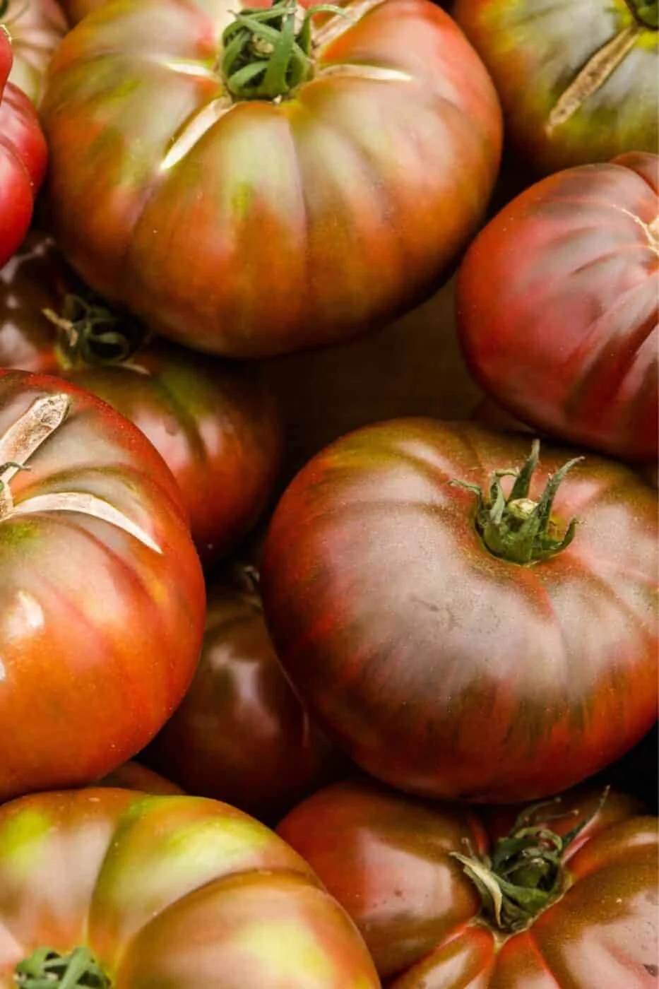 black-krim-tomatoes-933x1400.jpg