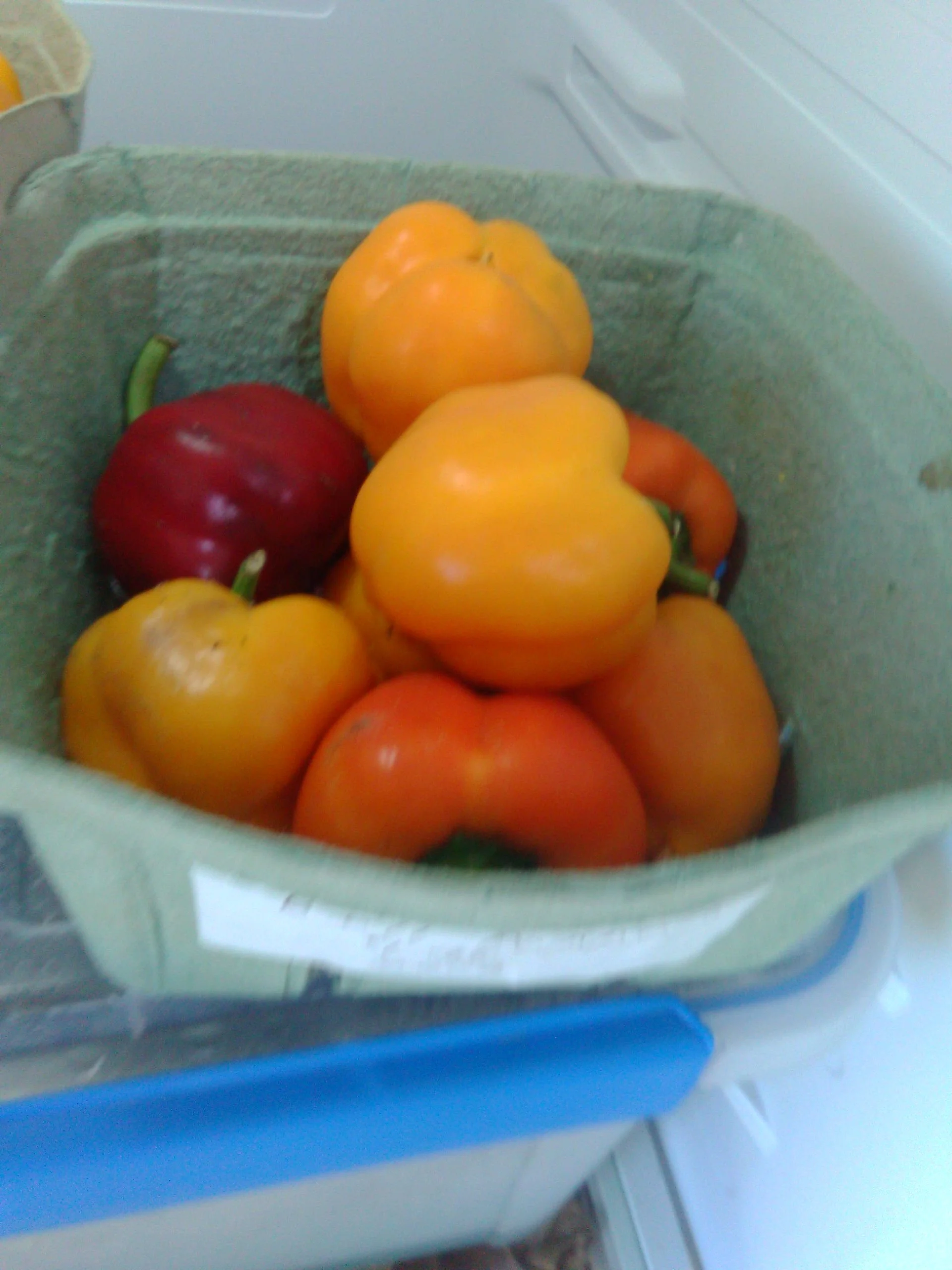 peppers.jpg