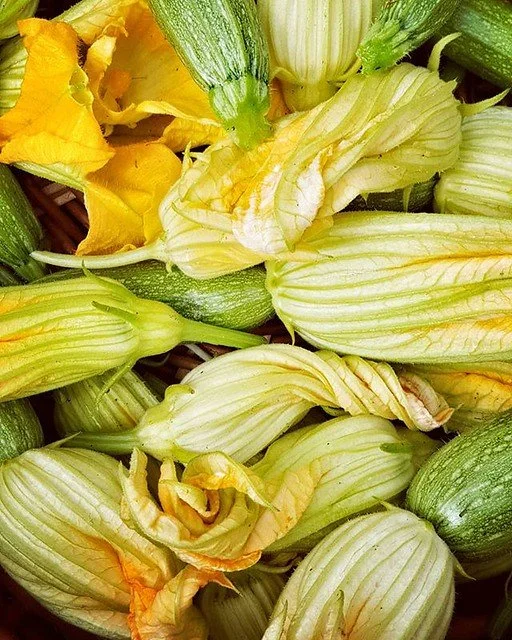 squash blossoms.jpg