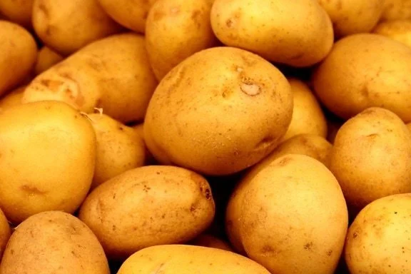 ‪white potatoes.jpg