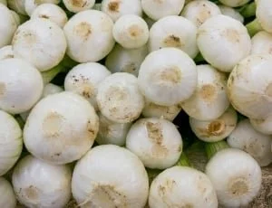 onions-young-onions-vegetables-frisch-wallpaper-thumb.jpg