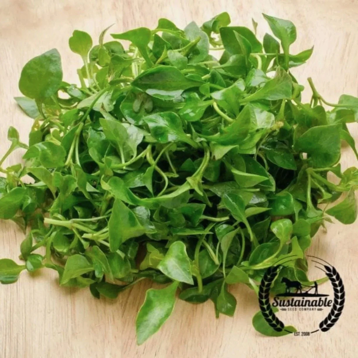 cress-curled-organic-comp.jpeg