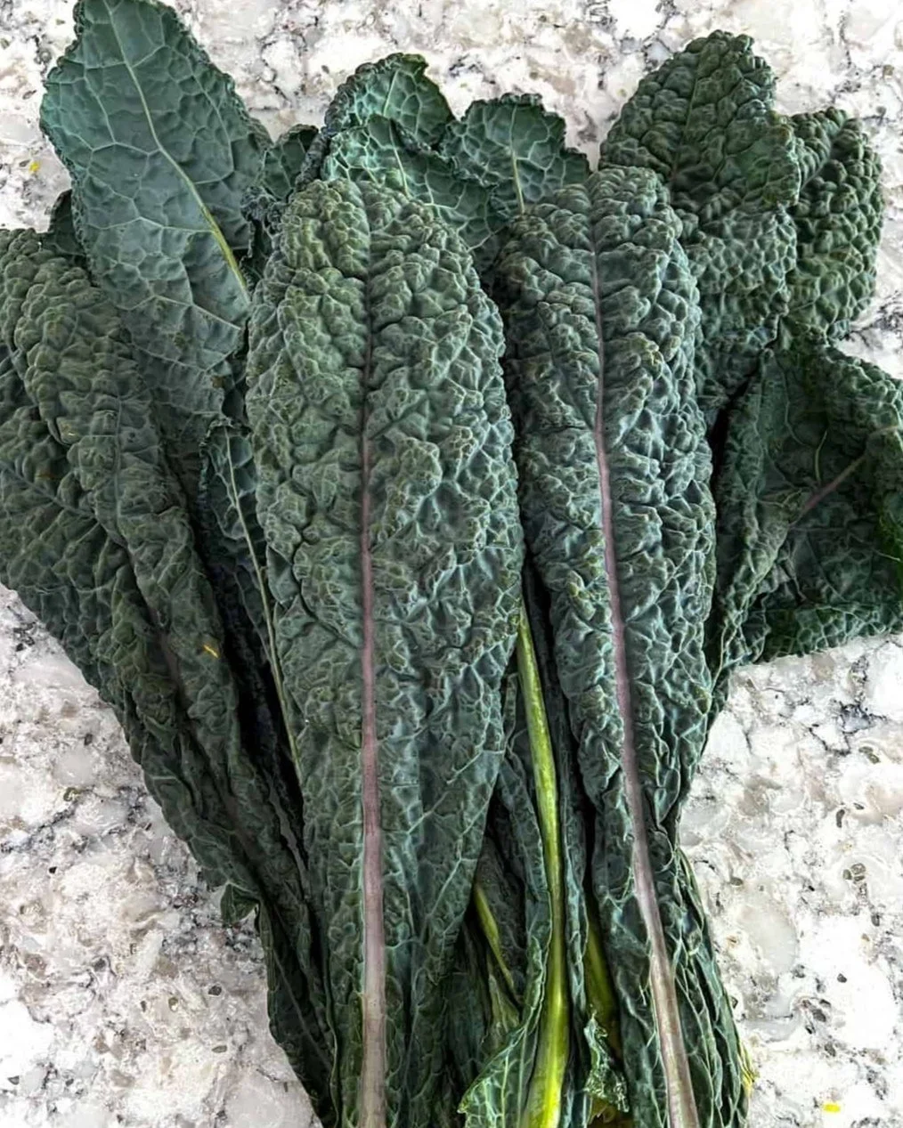Tuscan-kale-bunch.jpg