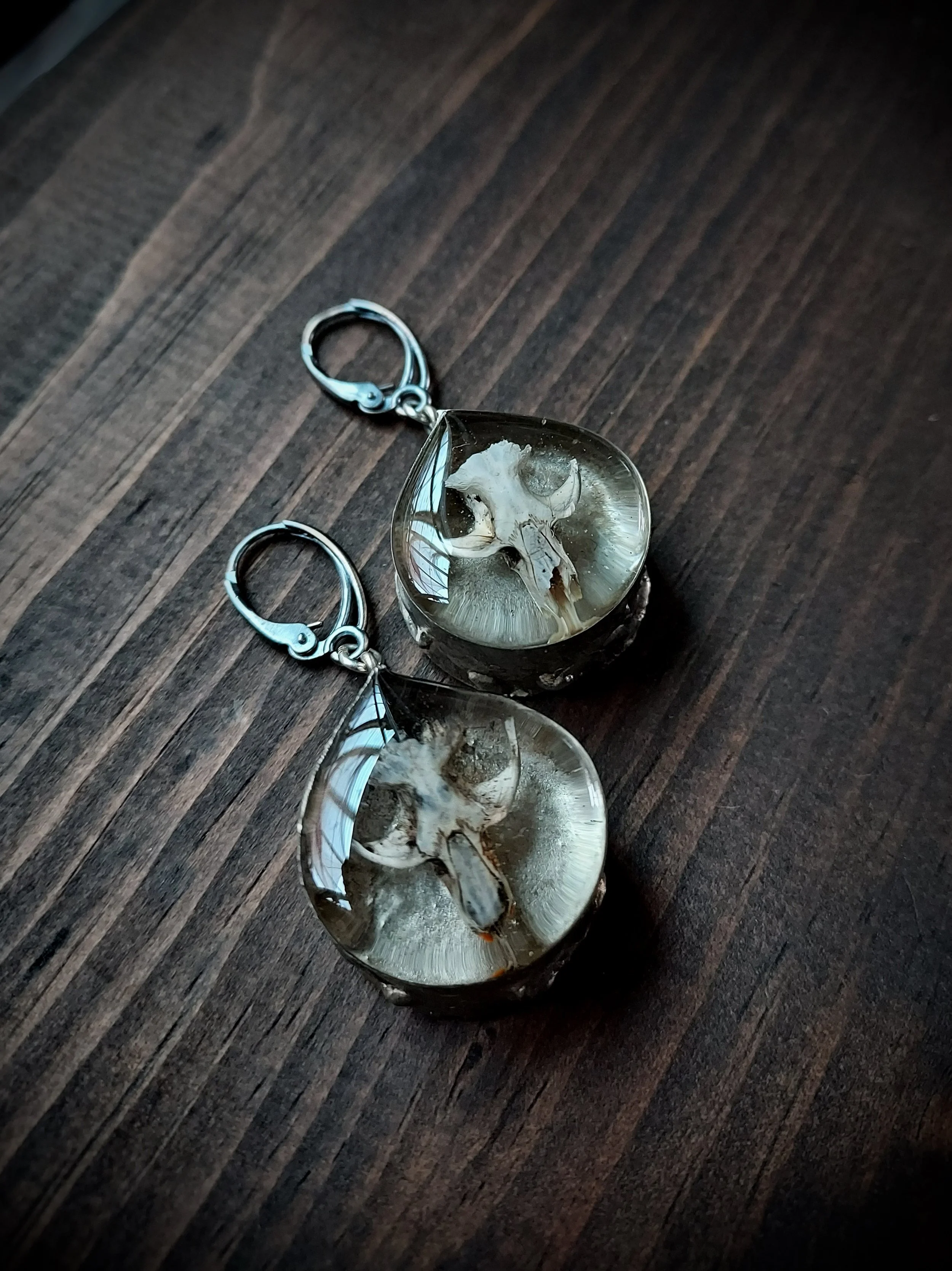 Guardian Earrings