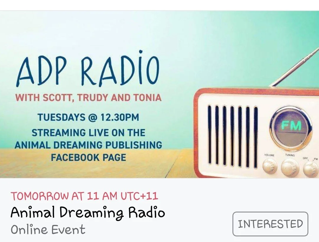 Animal Dreaming Radio Interview 5 November 2020