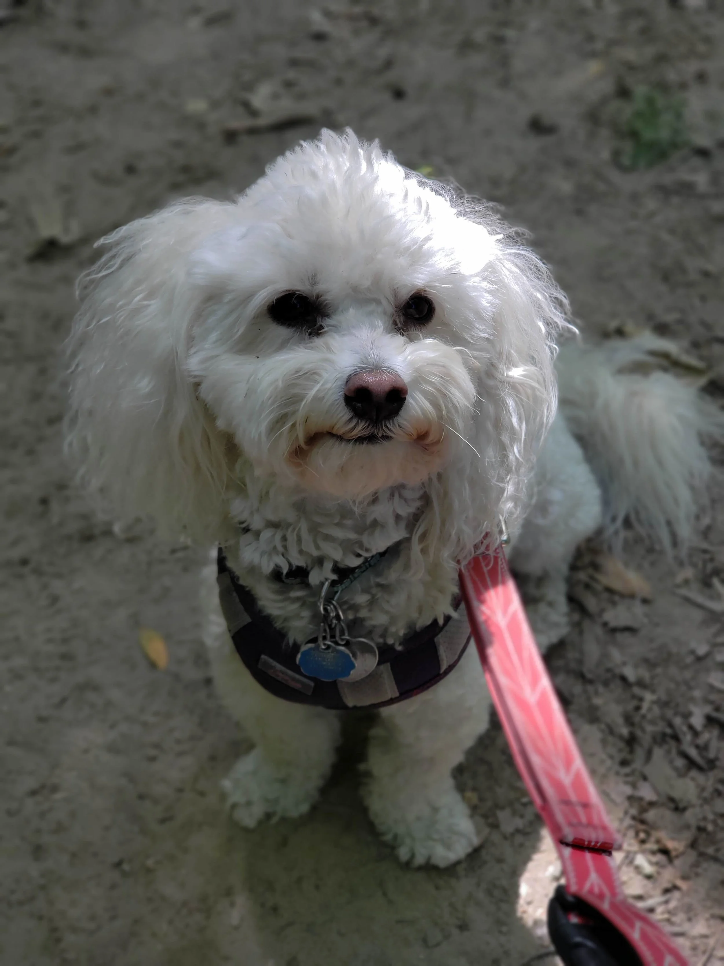 20180628_105106.jpg